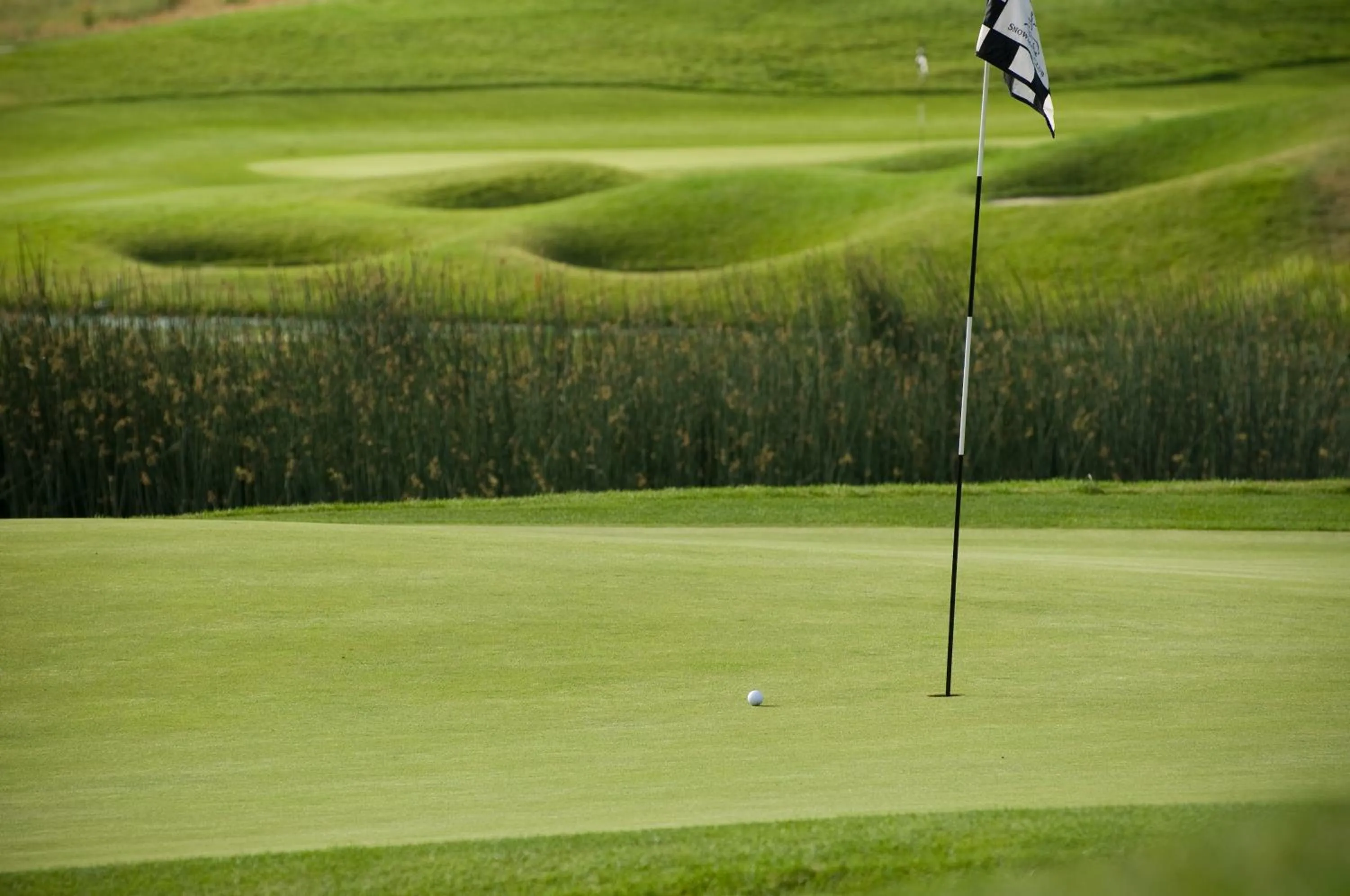 Activities in Viceroy Snowmass