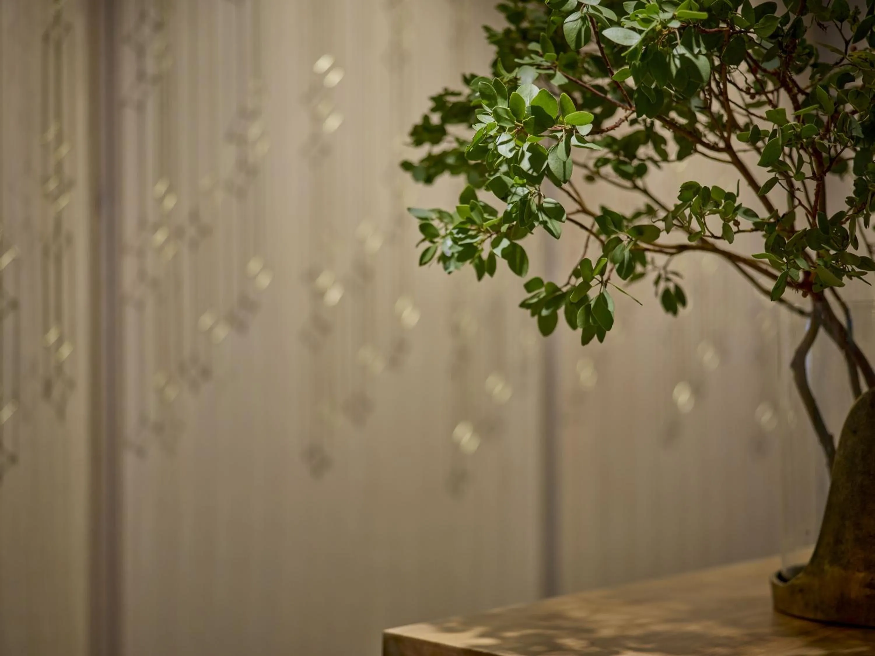 Decorative detail in Viceroy Snowmass