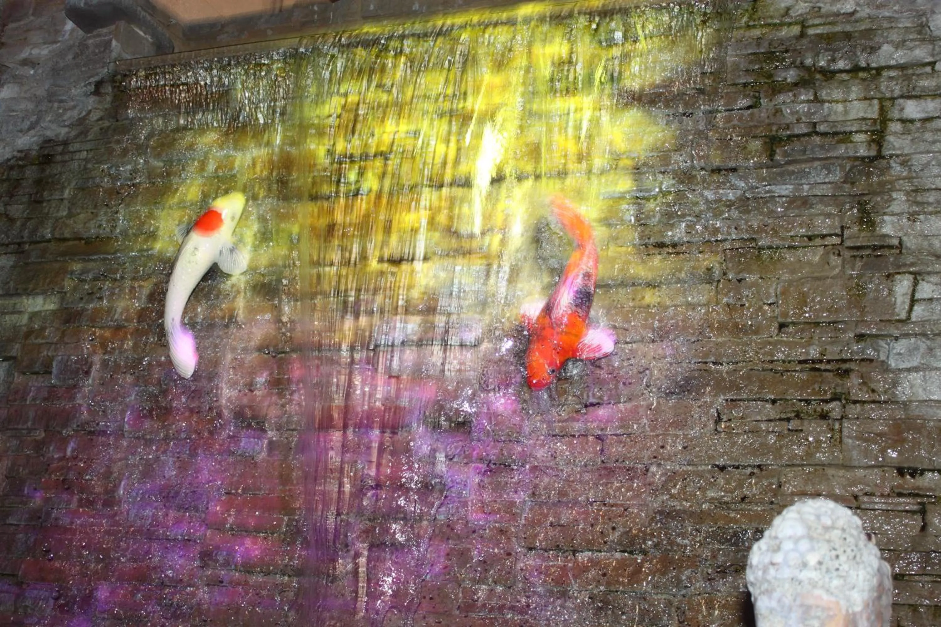 Snorkeling in Sea Mountain Nude Resort & Spa Hotel - Adults Only