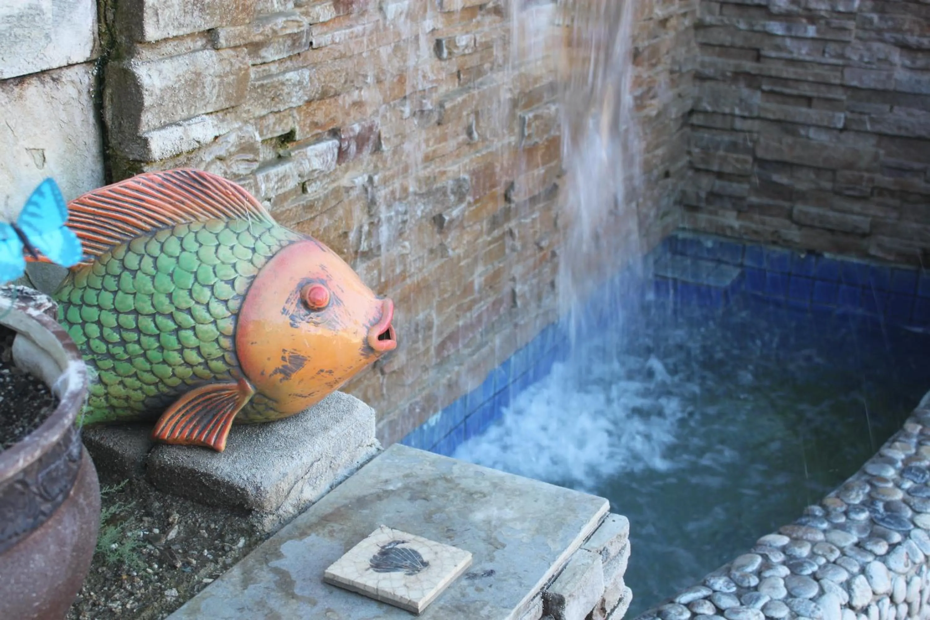 Animals in Sea Mountain Nude Resort & Spa Hotel - Adults Only