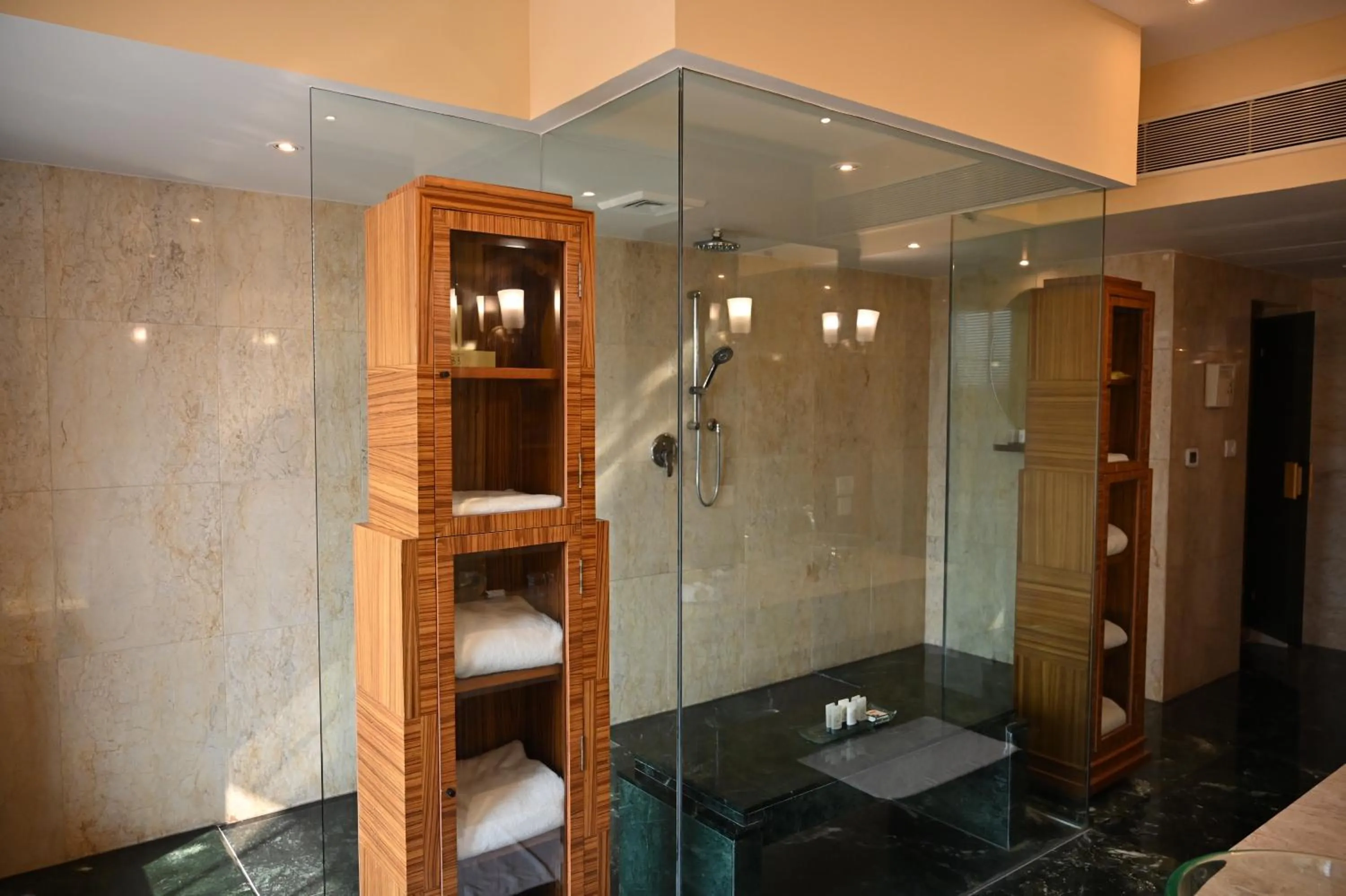 Shower in The Grand New Delhi