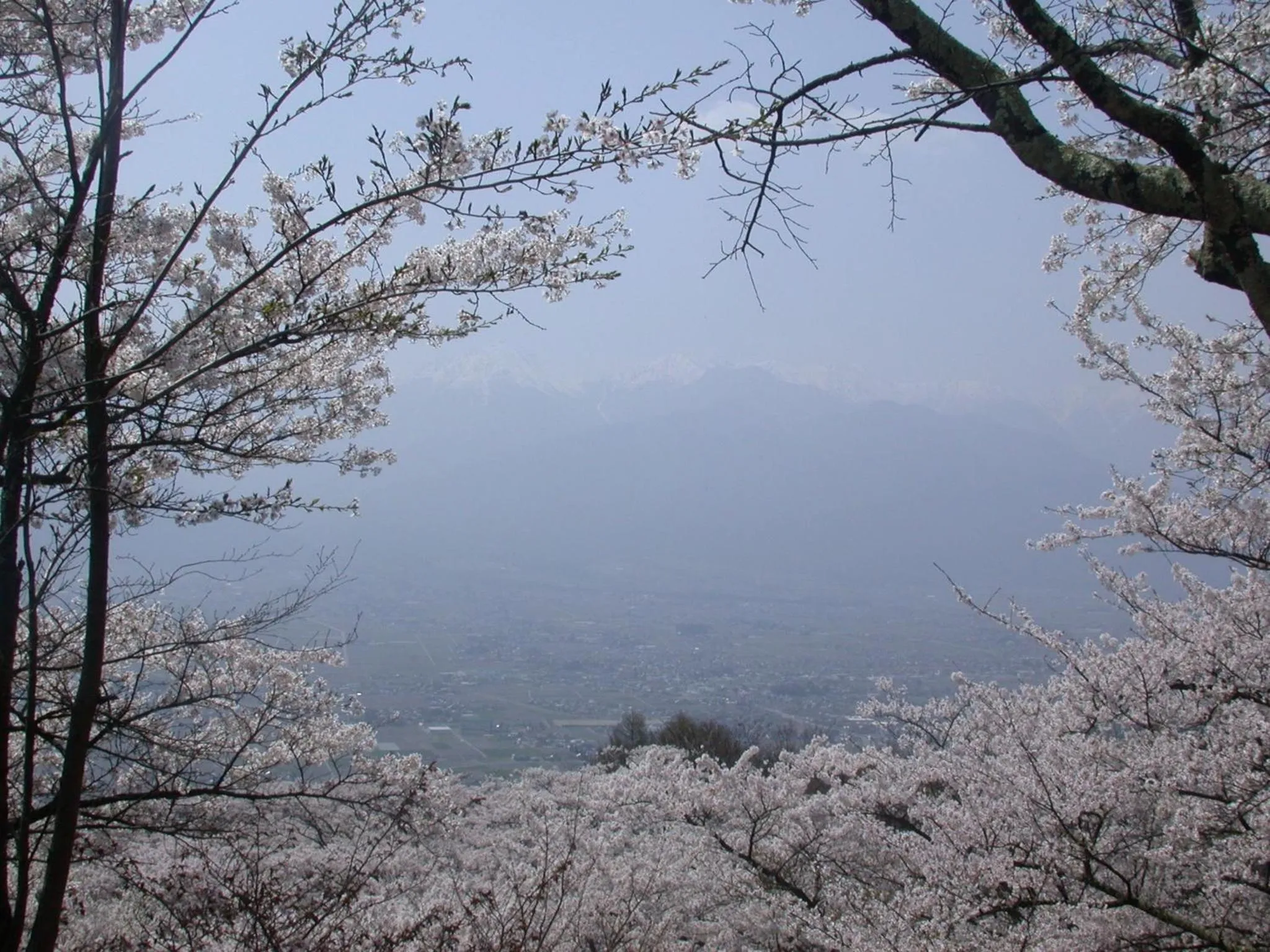 Spring in Canadian Loghouse Inn AzuminoYujin