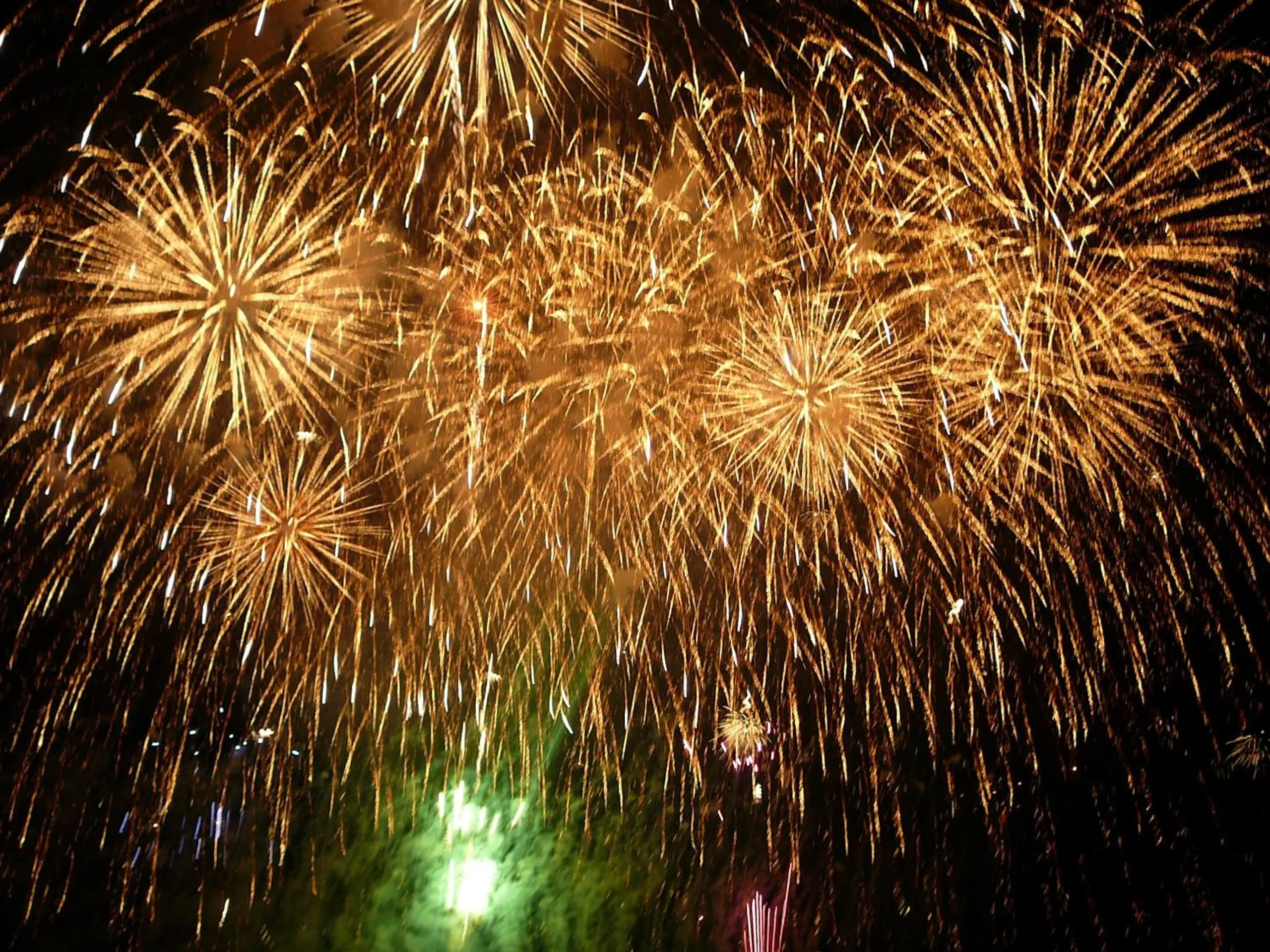 Summer in Canadian Loghouse Inn AzuminoYujin