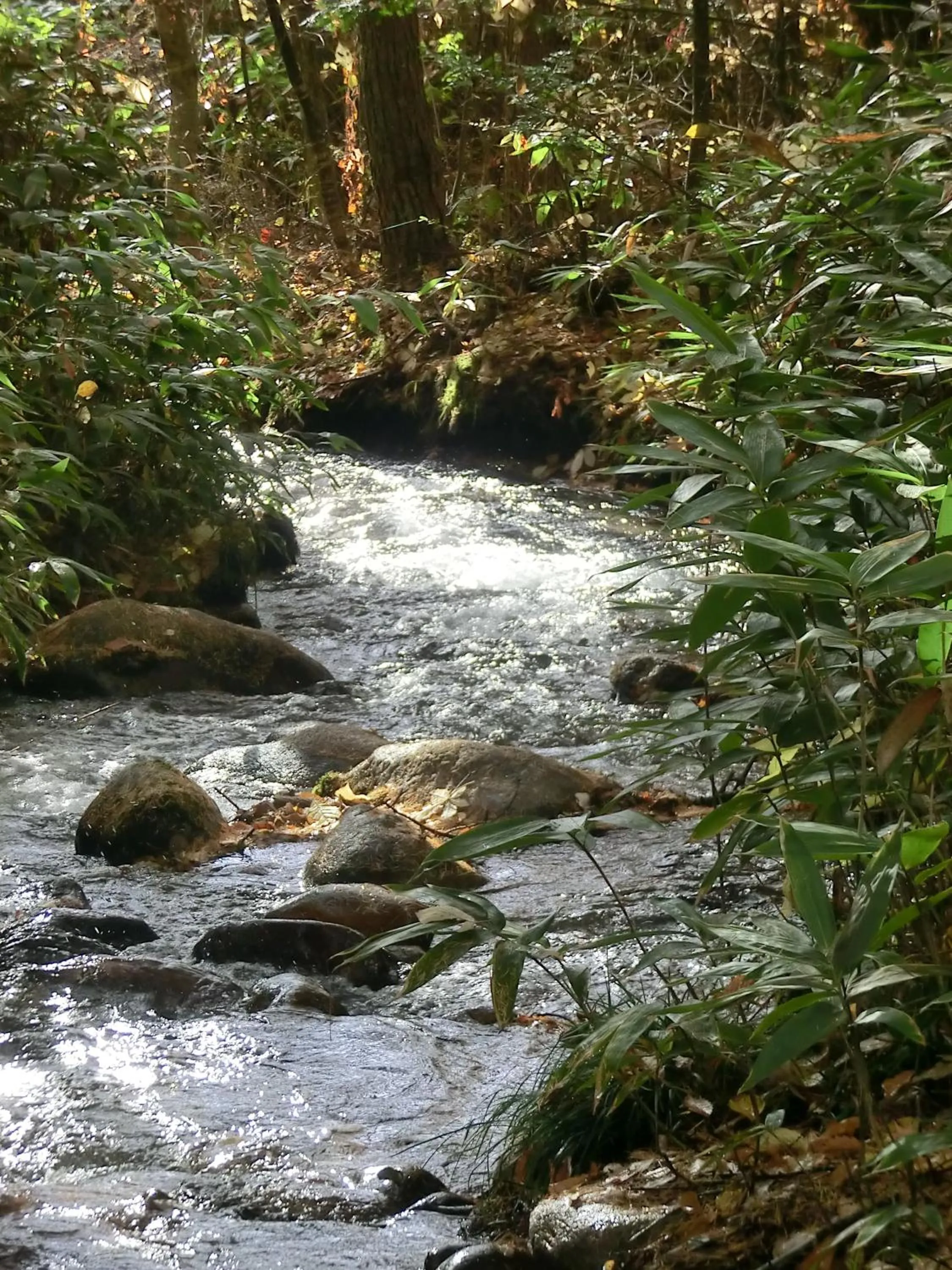 Off site in Canadian Loghouse Inn AzuminoYujin