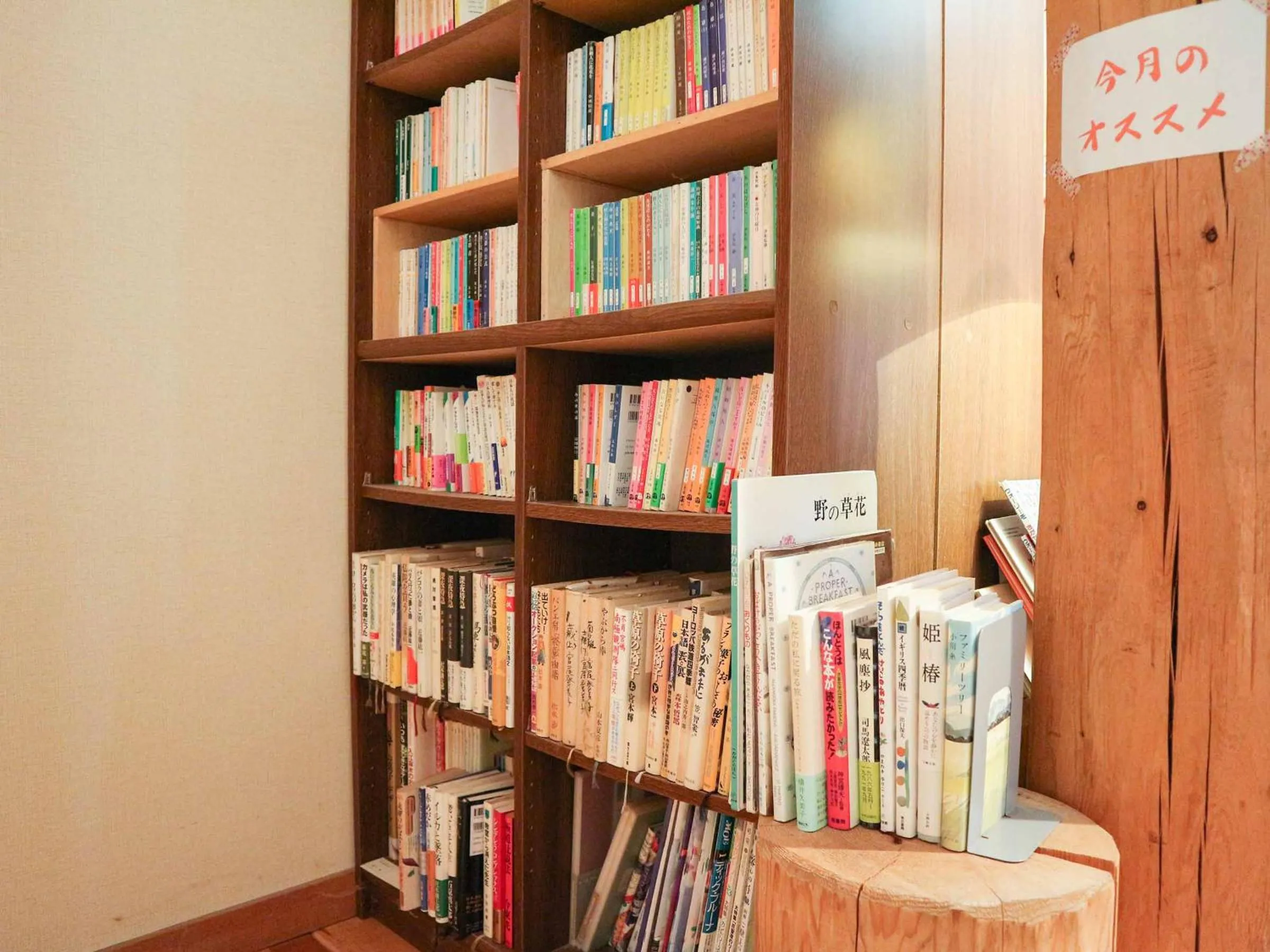 Library in Canadian Loghouse Inn AzuminoYujin