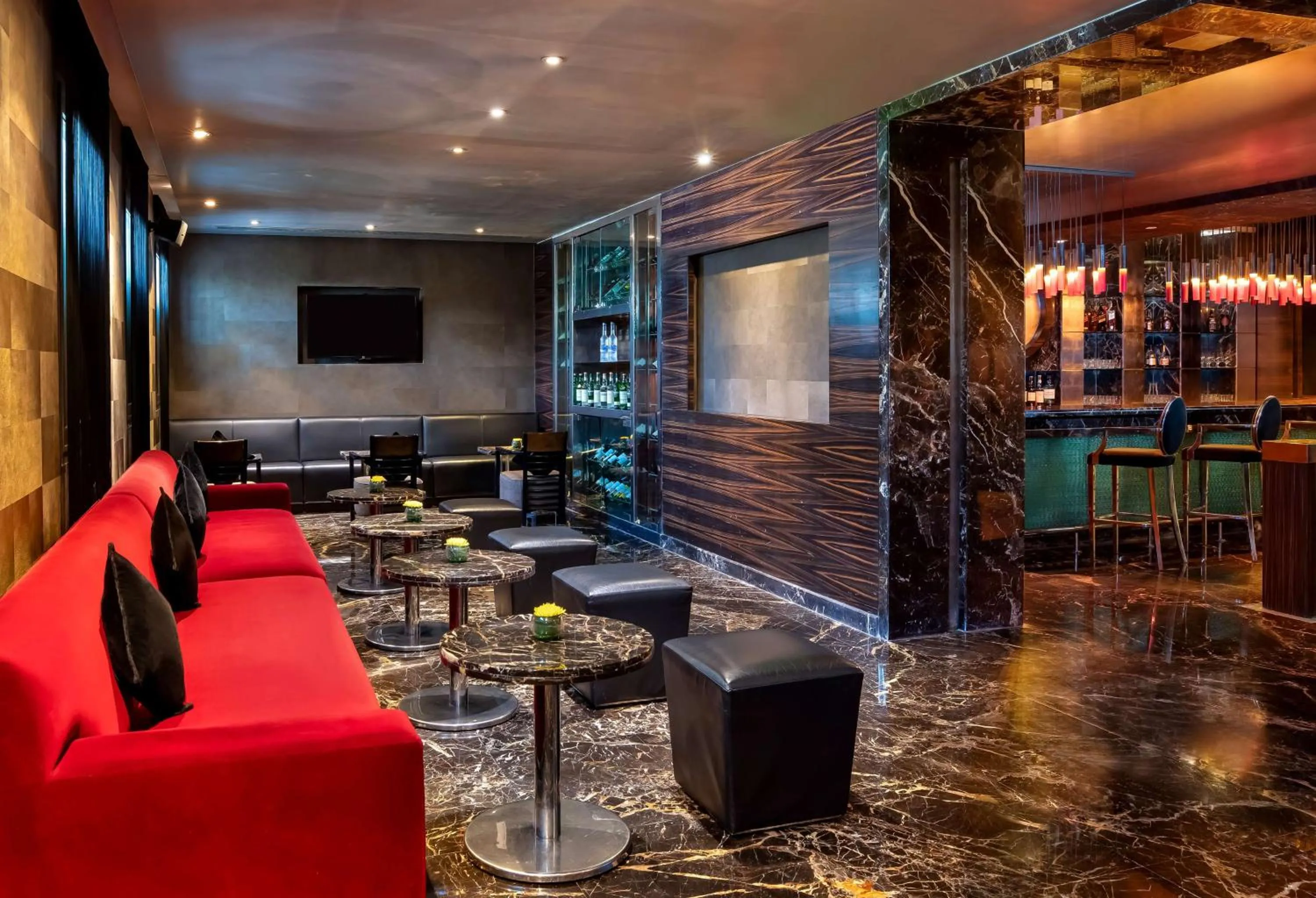 Lounge or bar in Radisson Blu Marina Hotel Connaught Place