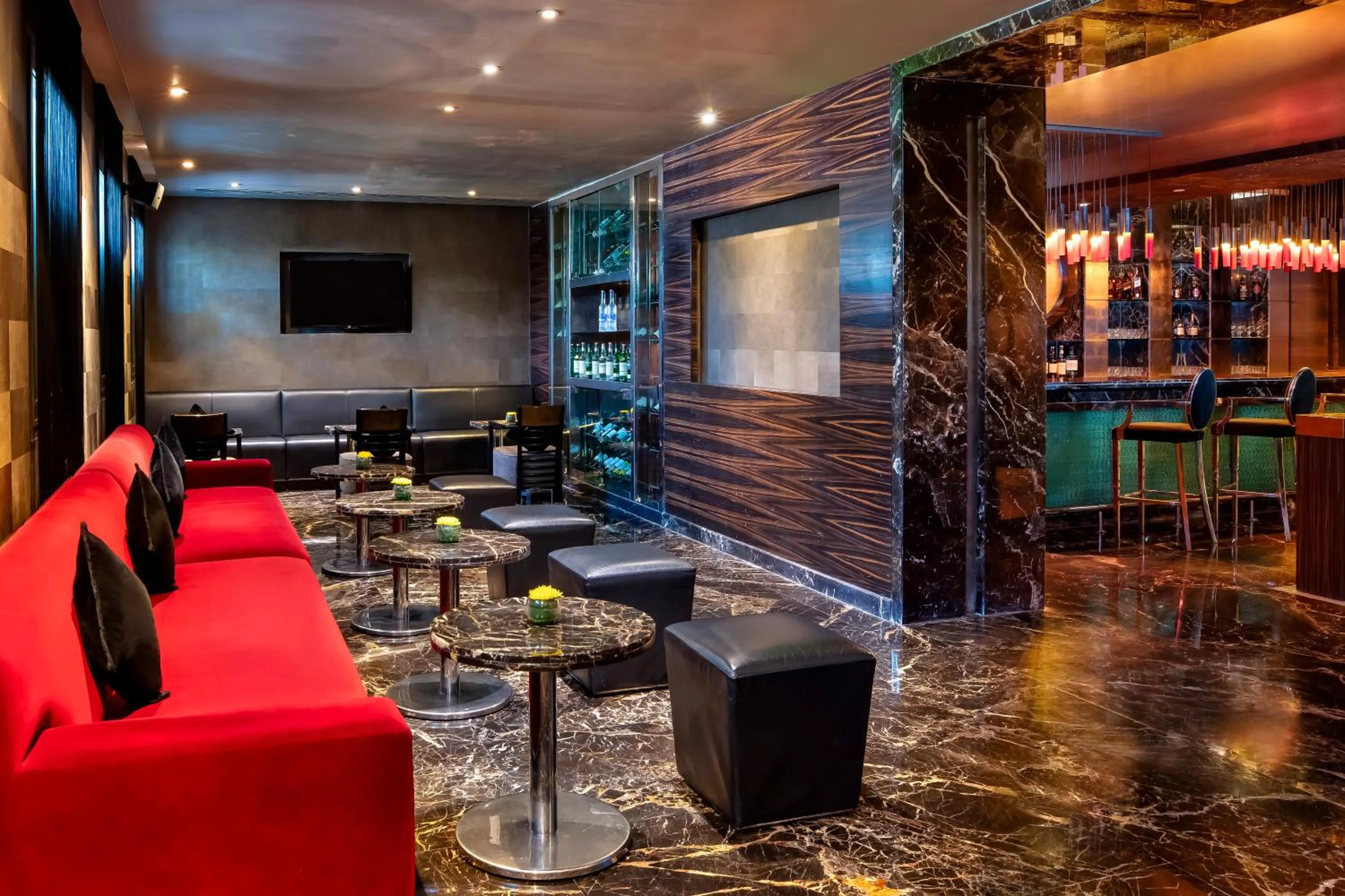 Lounge or bar in Radisson Blu Marina Hotel Connaught Place