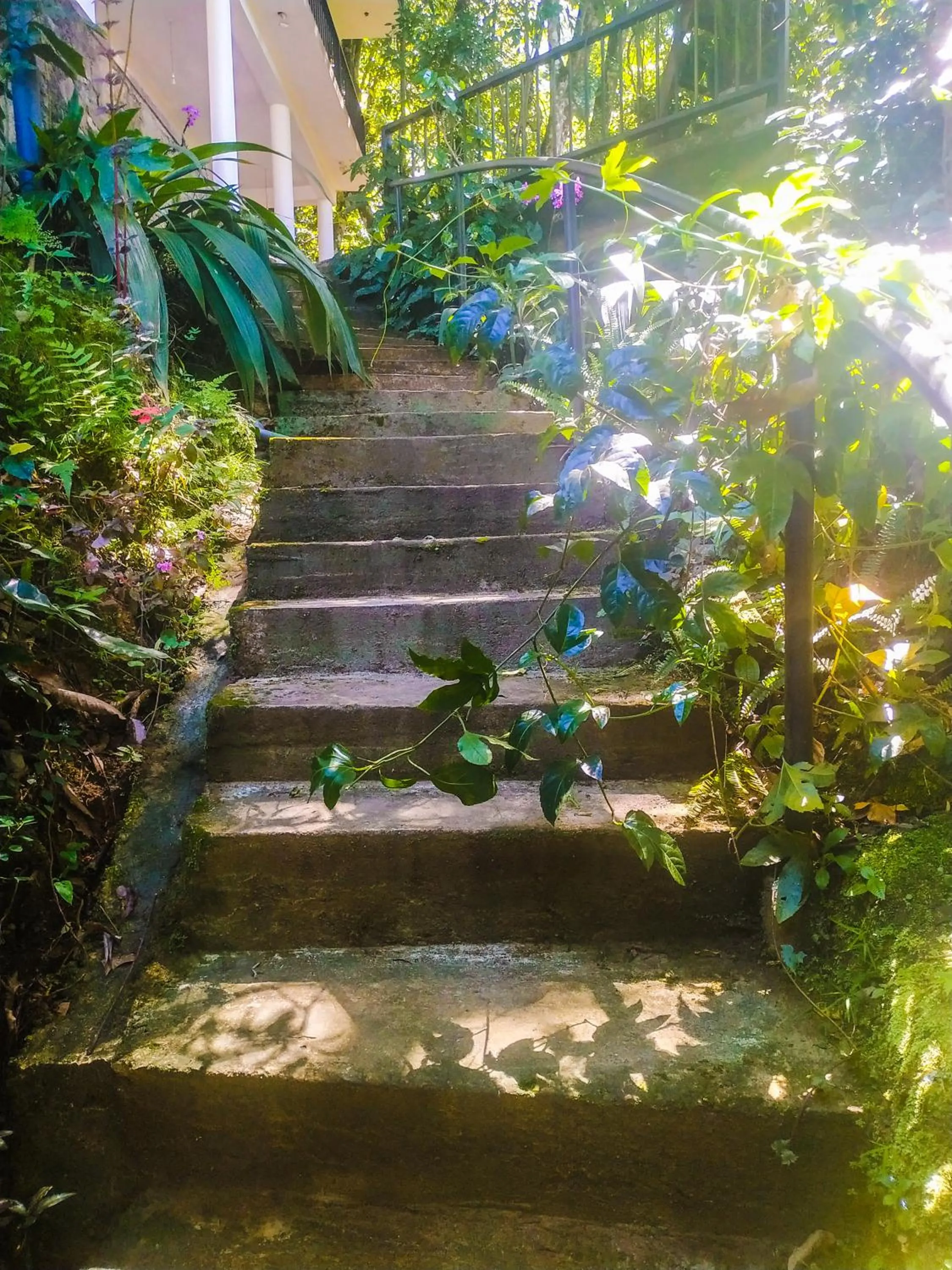 Samadhi Nature Resort