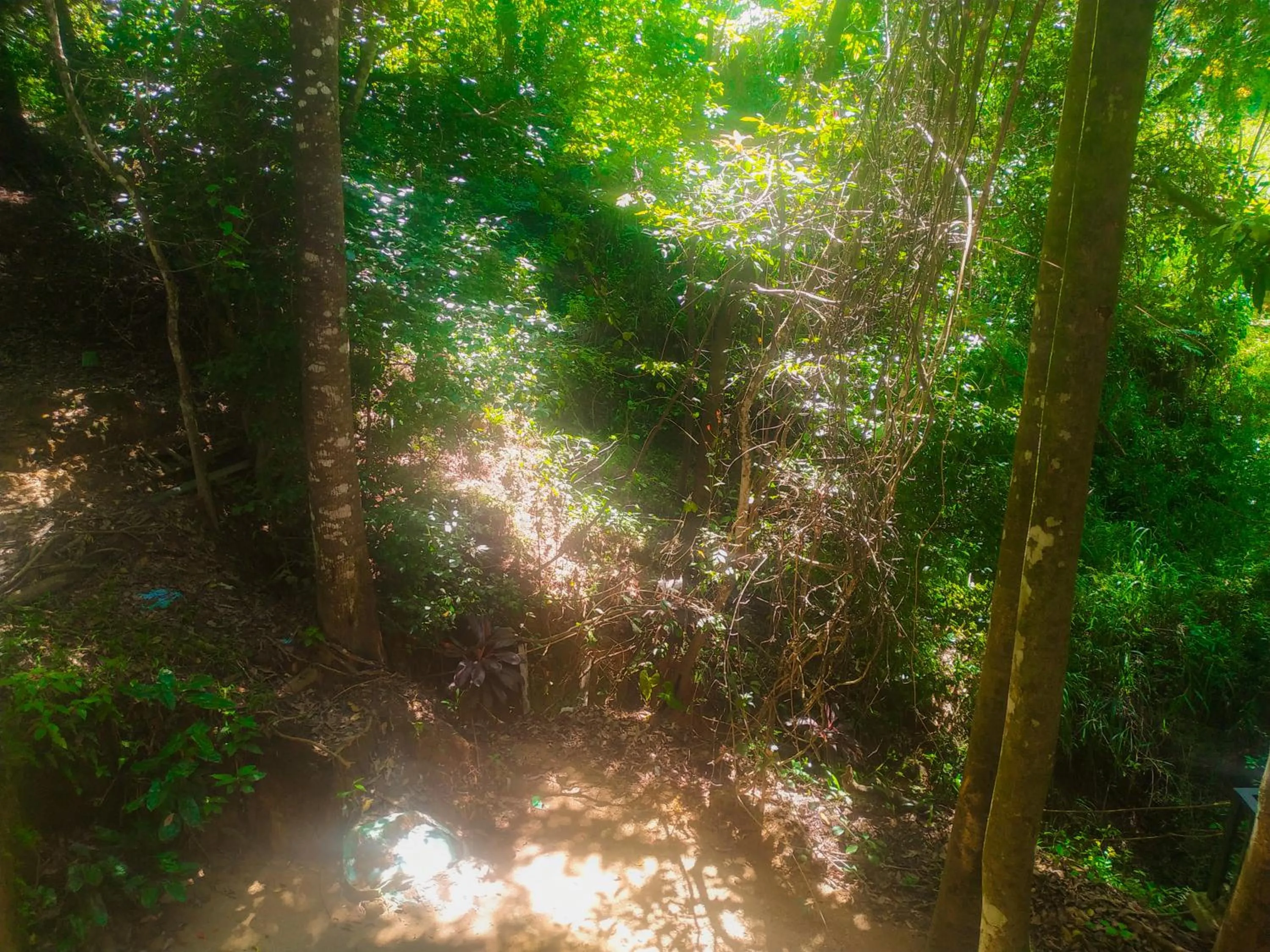 Samadhi Nature Resort