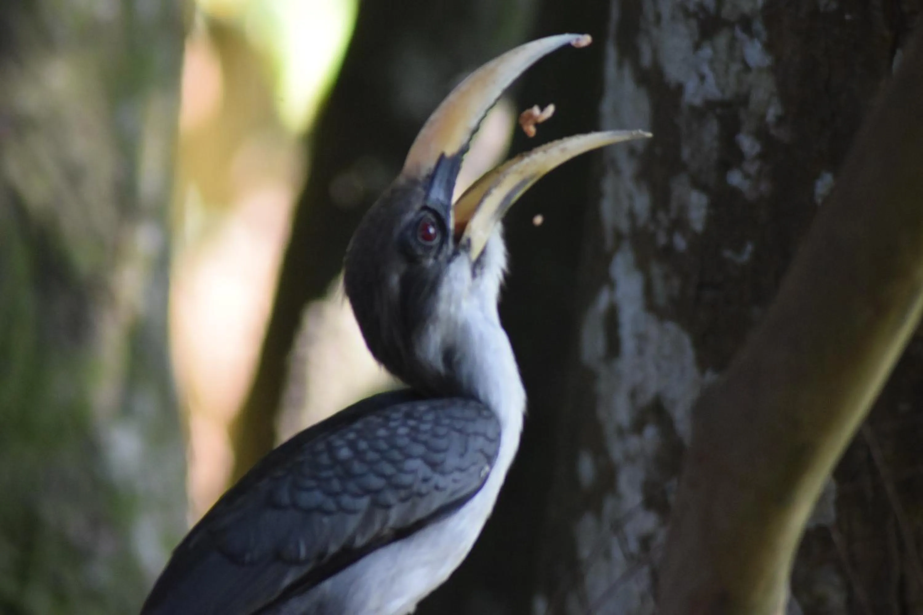 Samadhi Nature Resort