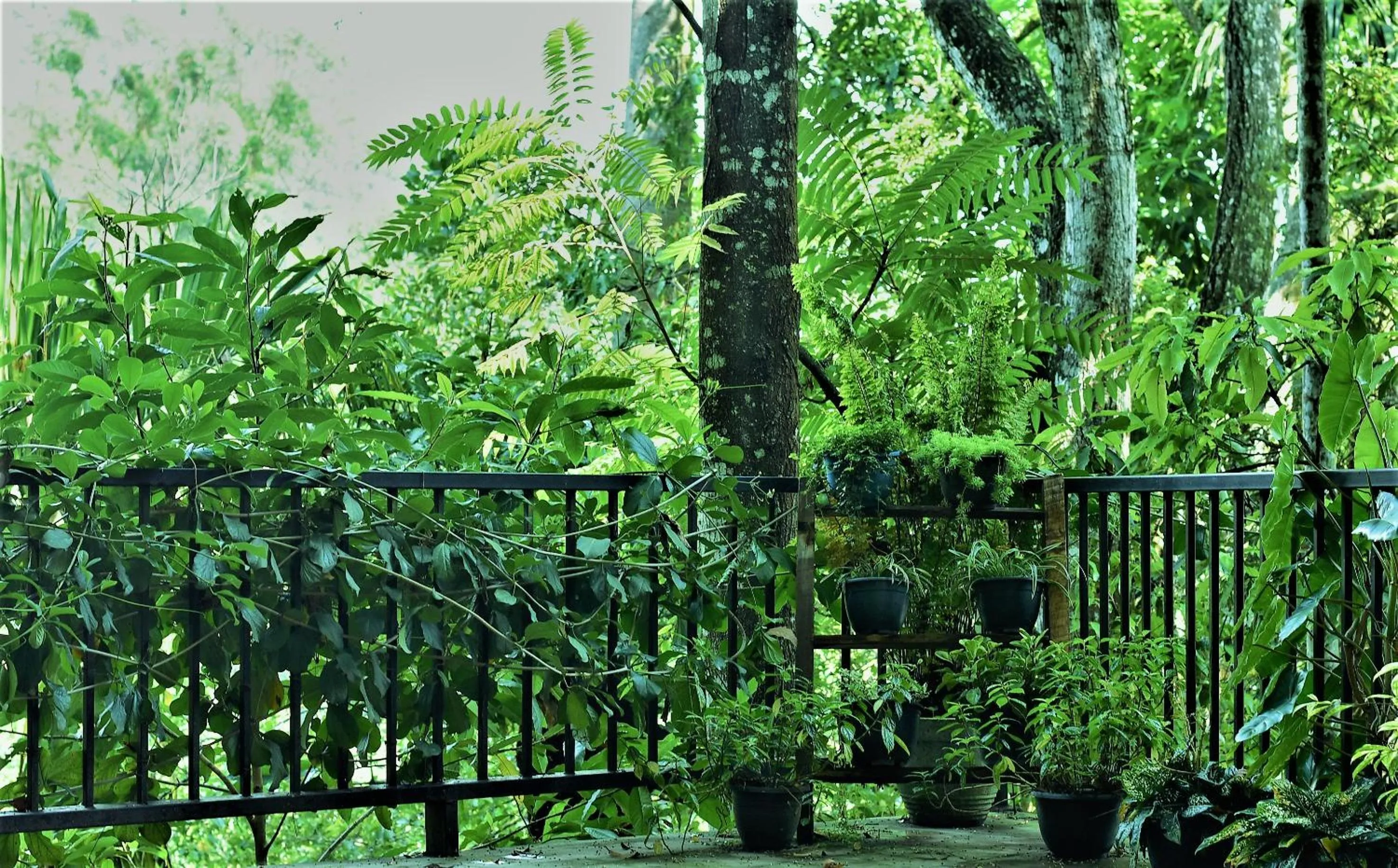Garden in Samadhi Nature Resort