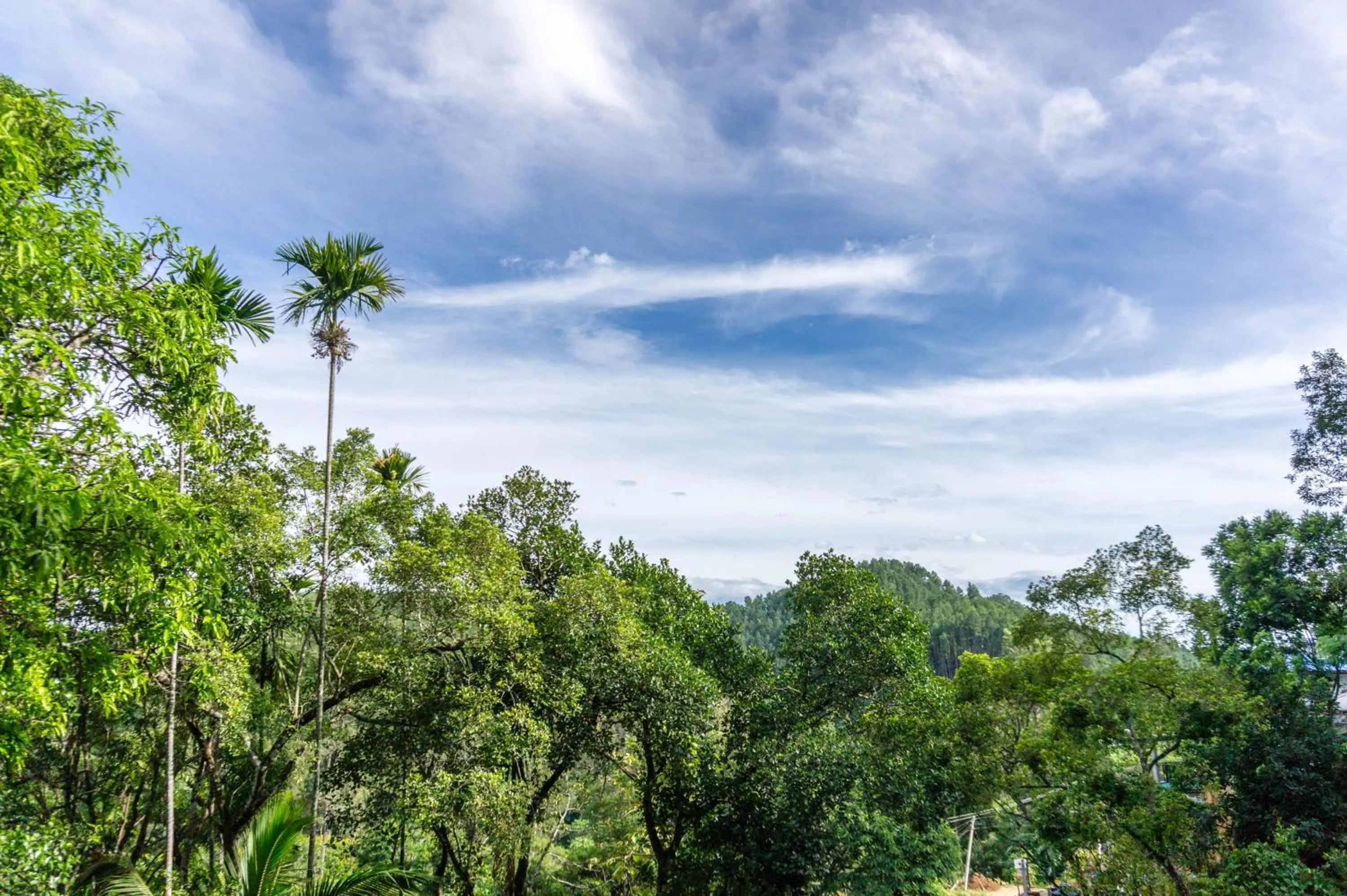 Natural landscape in Samadhi Nature Resort