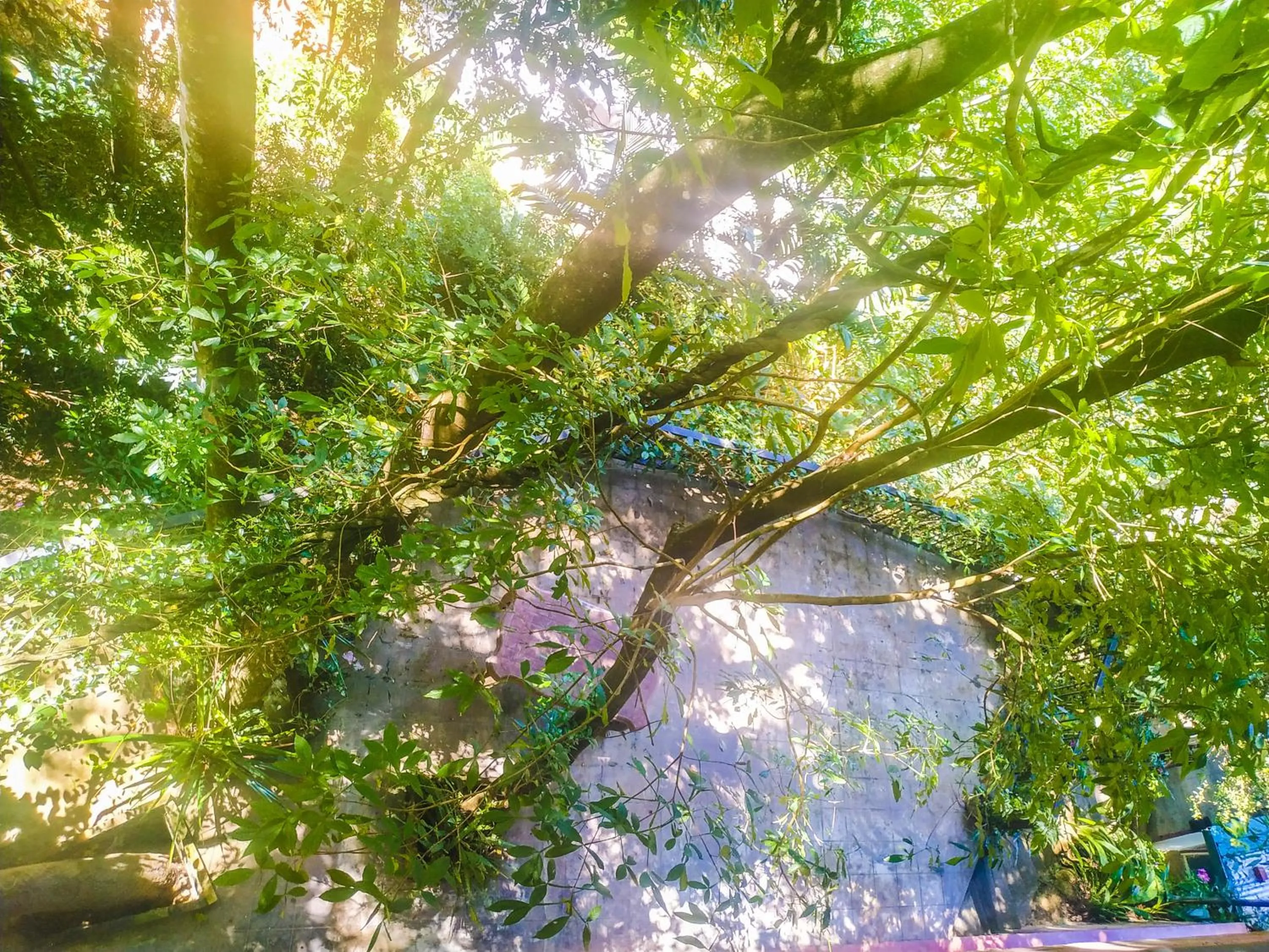 Garden in Samadhi Nature Resort