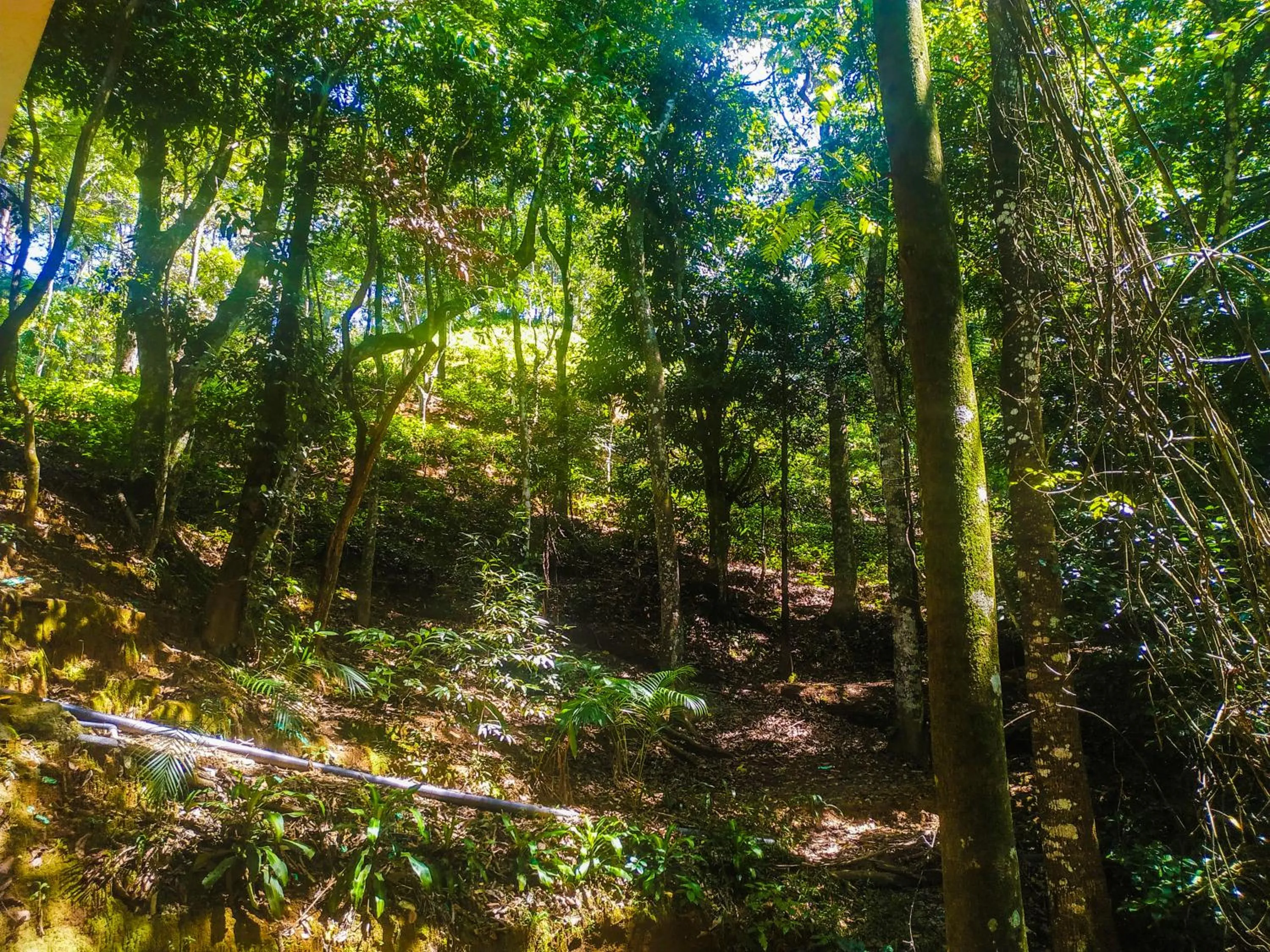 Samadhi Nature Resort