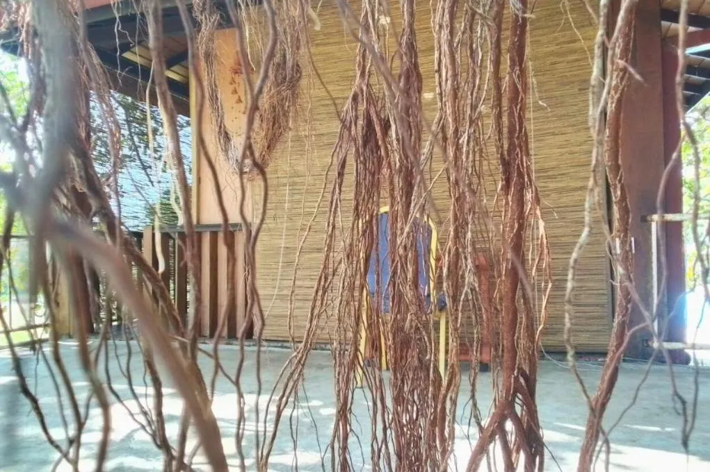 Pigeon Island Beach Resort and Spa