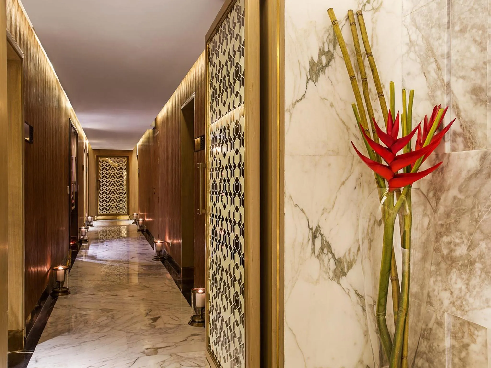 Spa and wellness centre/facilities in The Claridges New Delhi