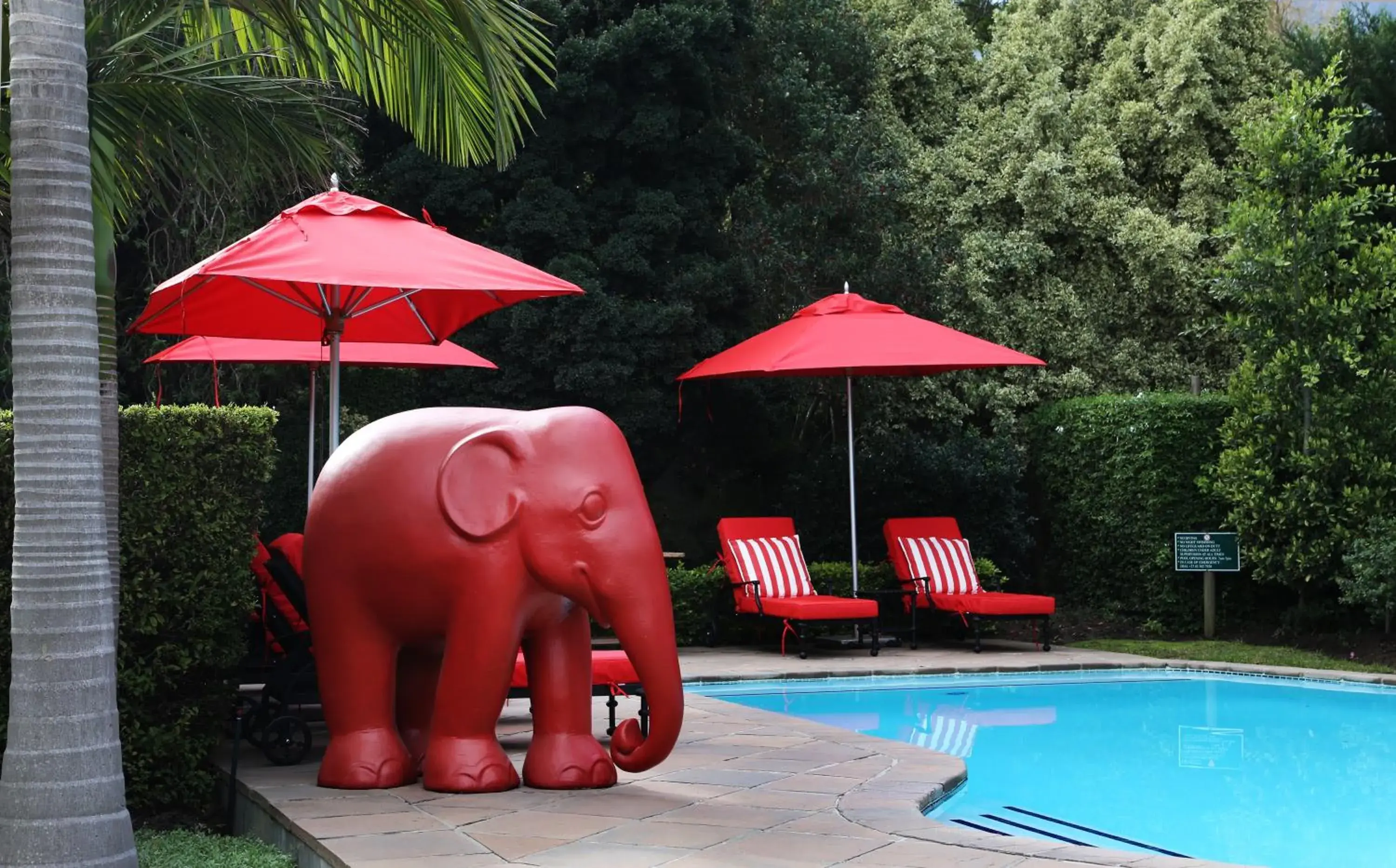 Swimming pool in Avondrood Guest House by The Oyster Collection Swimming pool in Avondrood Guest House by The Oyster Collection