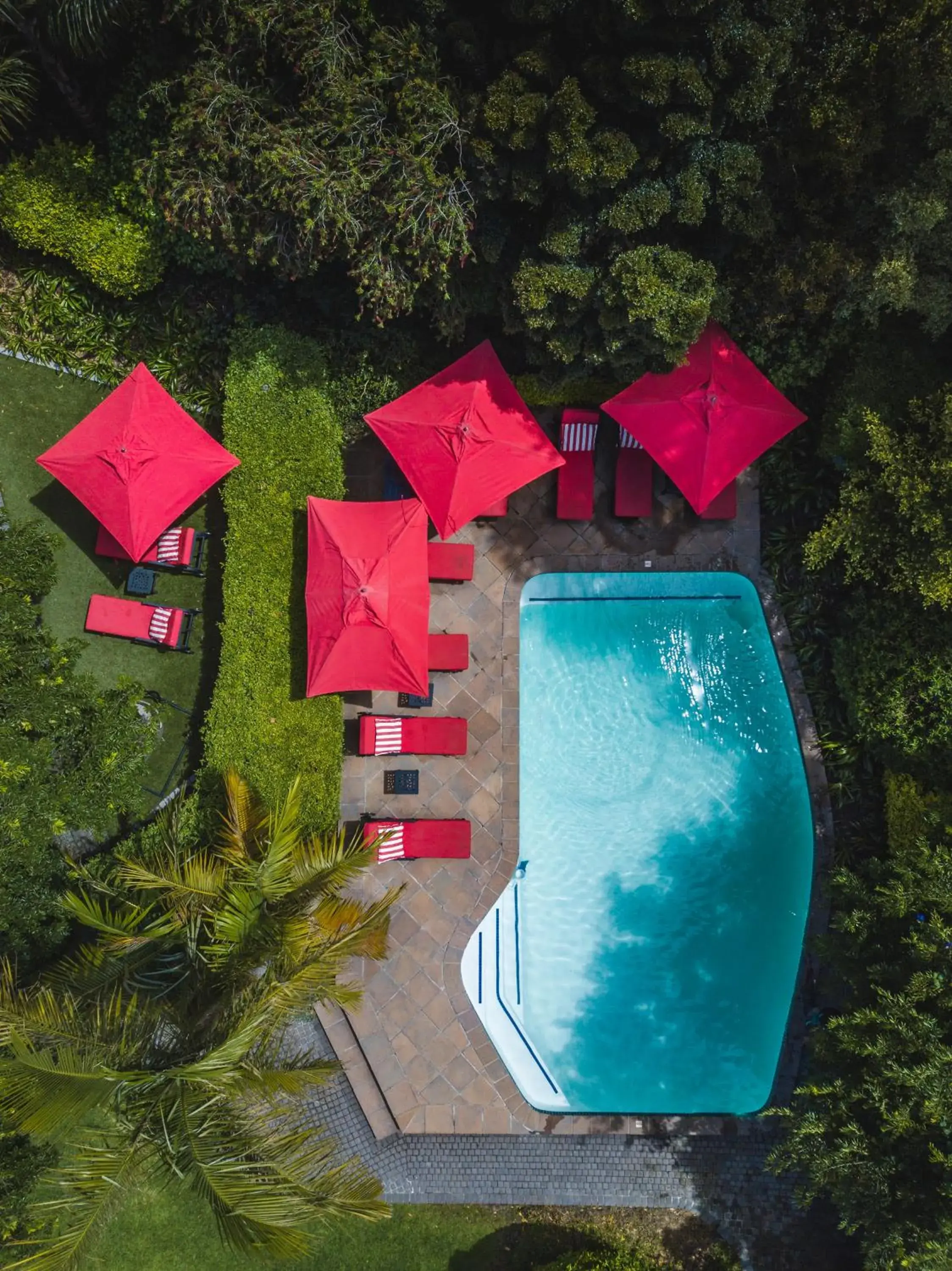 Bird's eye view in Avondrood Guest House by The Oyster Collection Bird's eye view in Avondrood Guest House by The Oyster Collection