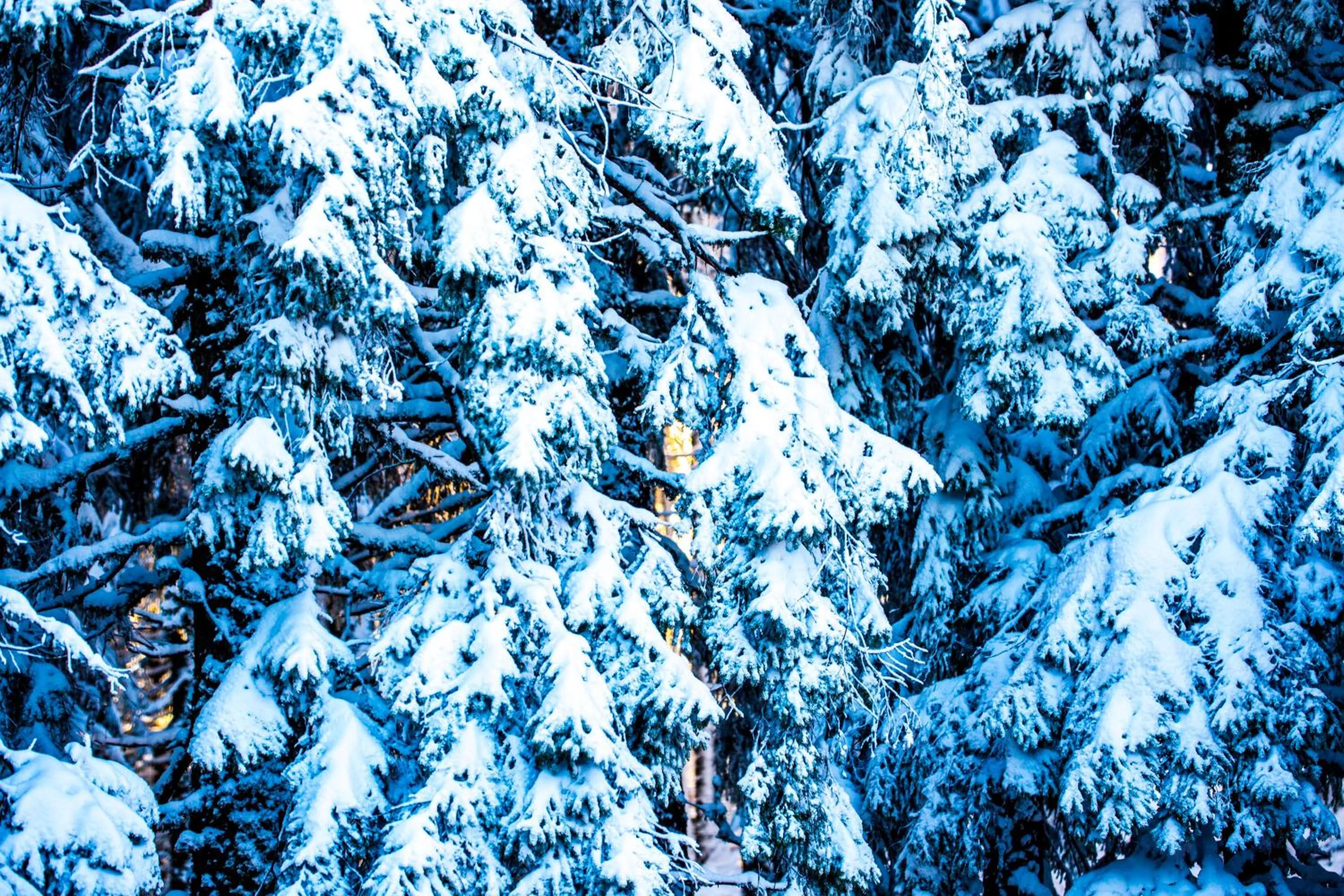 Sunny Hills Ski&Wellness