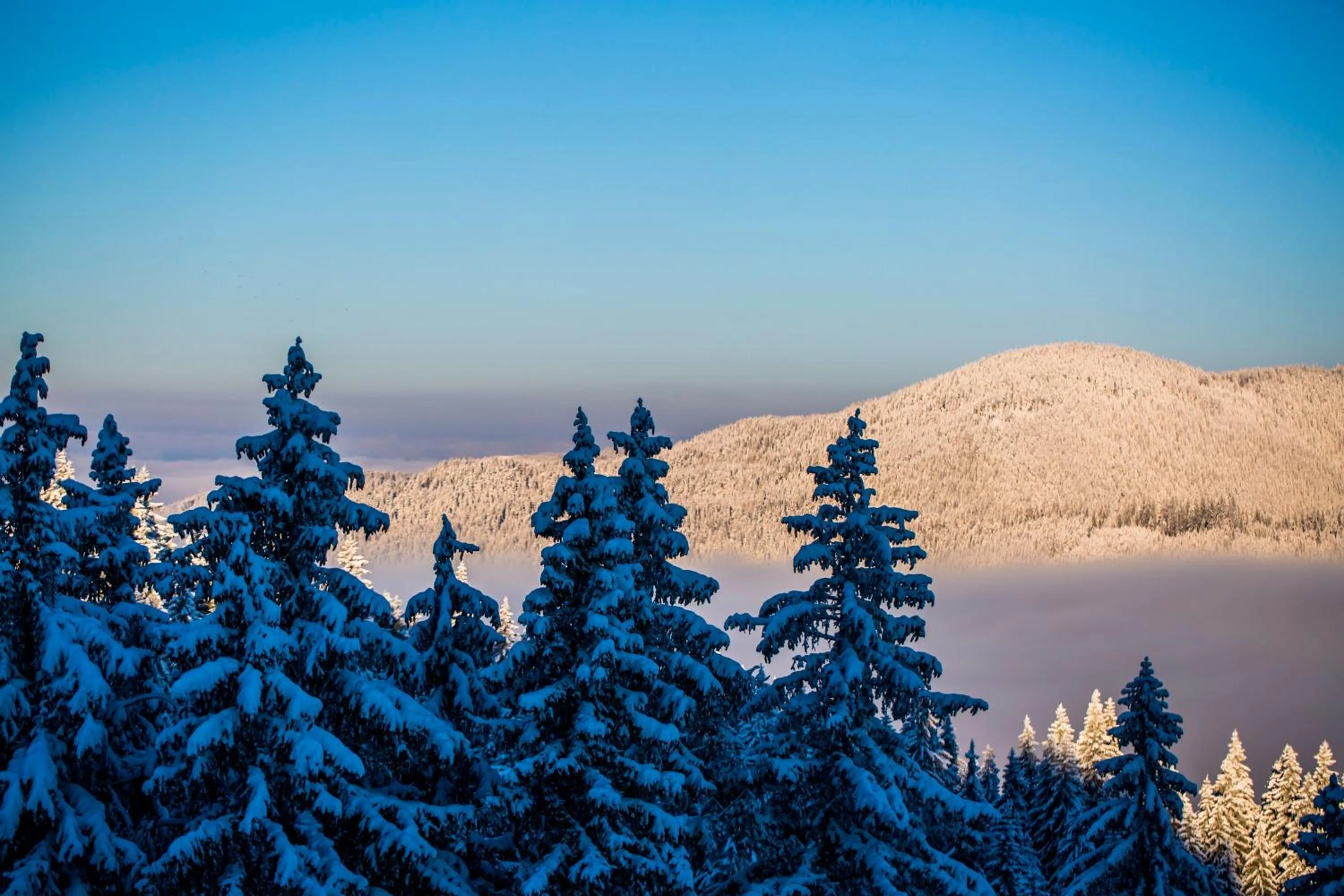 Sunny Hills Ski&Wellness