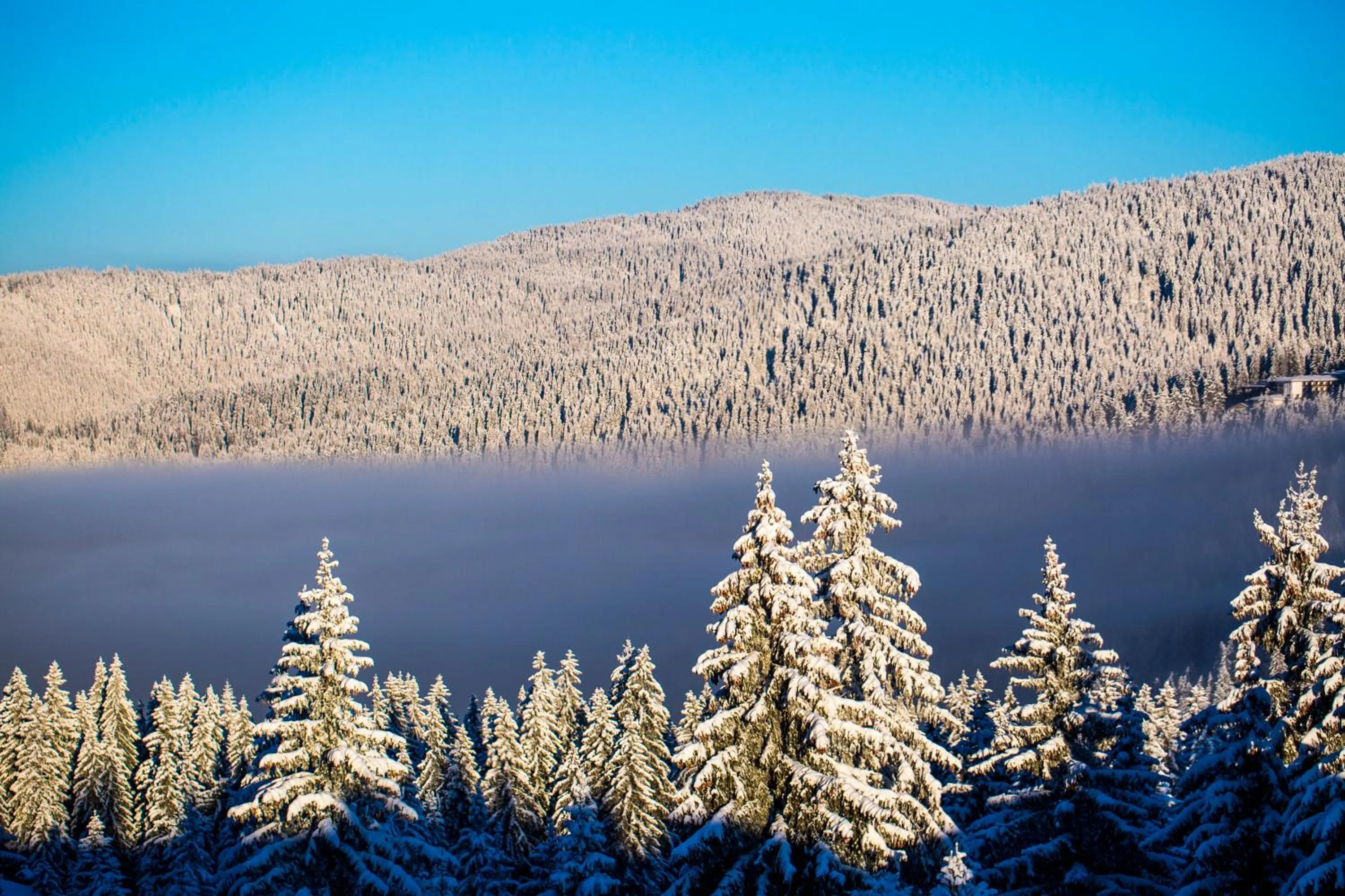 Sunny Hills Ski&Wellness