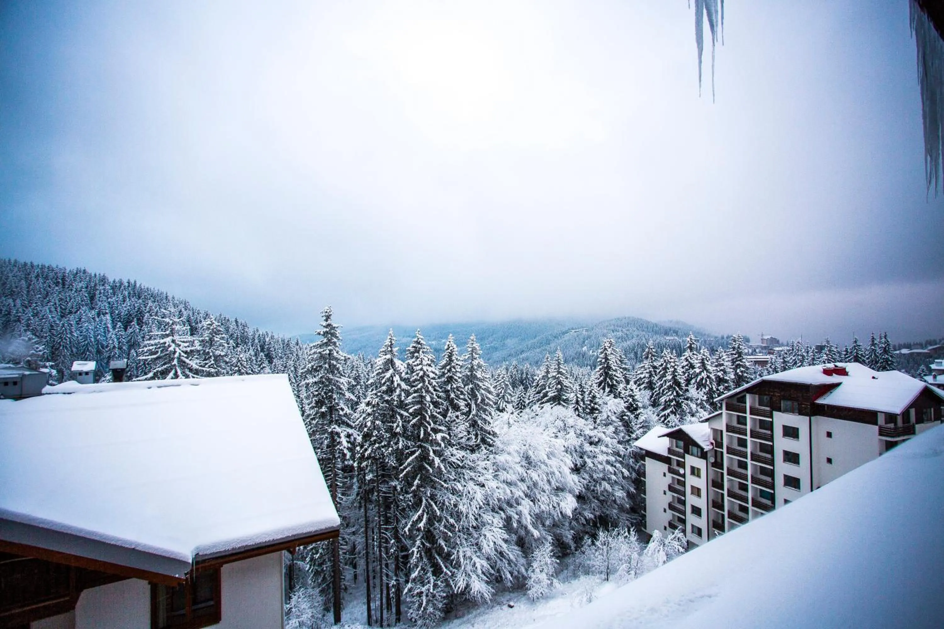 Sunny Hills Ski&Wellness