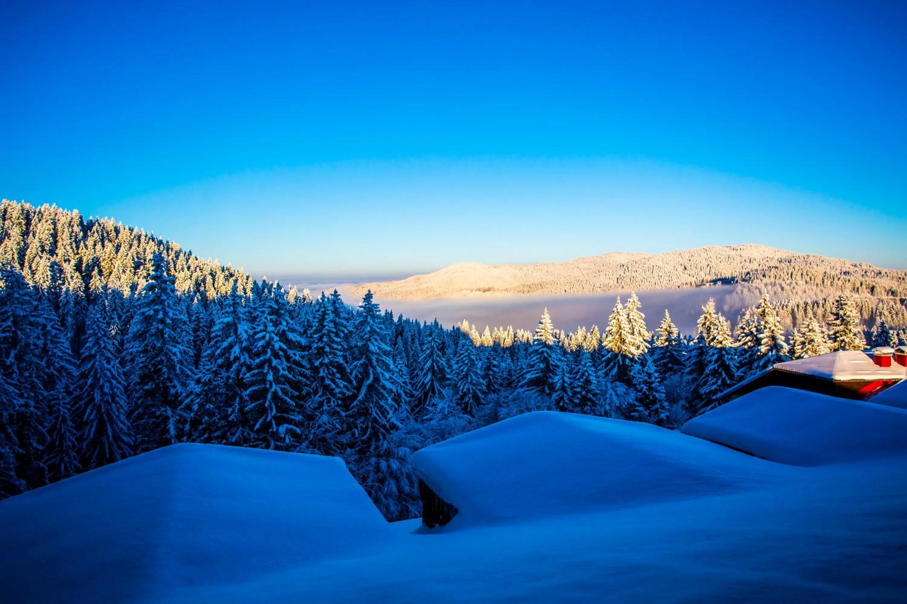 Sunny Hills Ski&Wellness