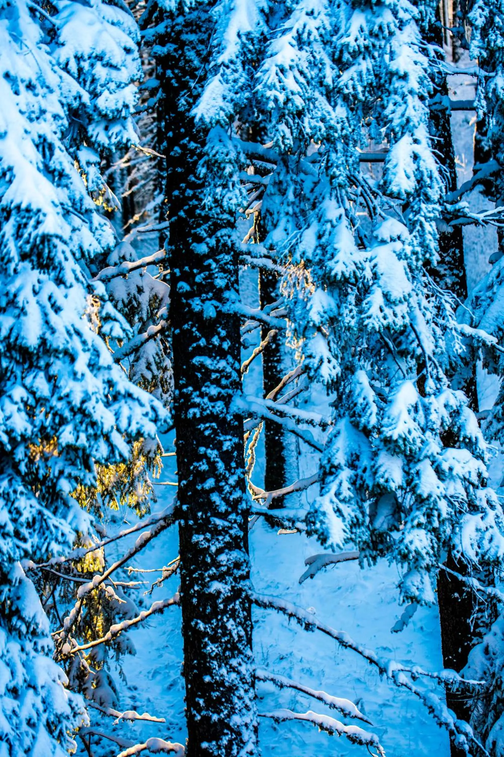 Sunny Hills Ski&Wellness