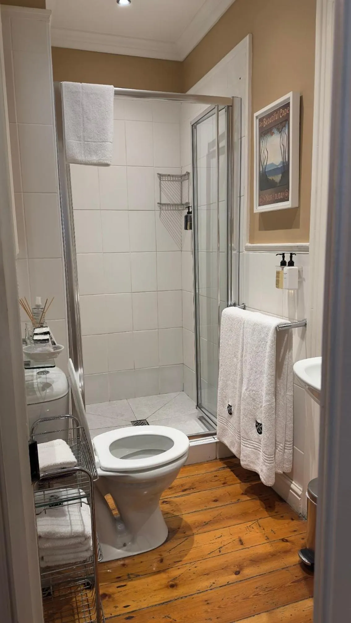 Shower in Tintagel Guest House