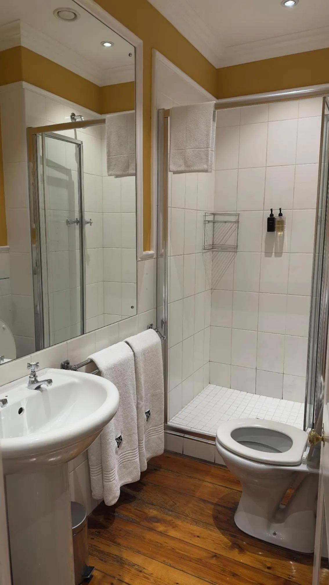 Shower in Tintagel Guest House