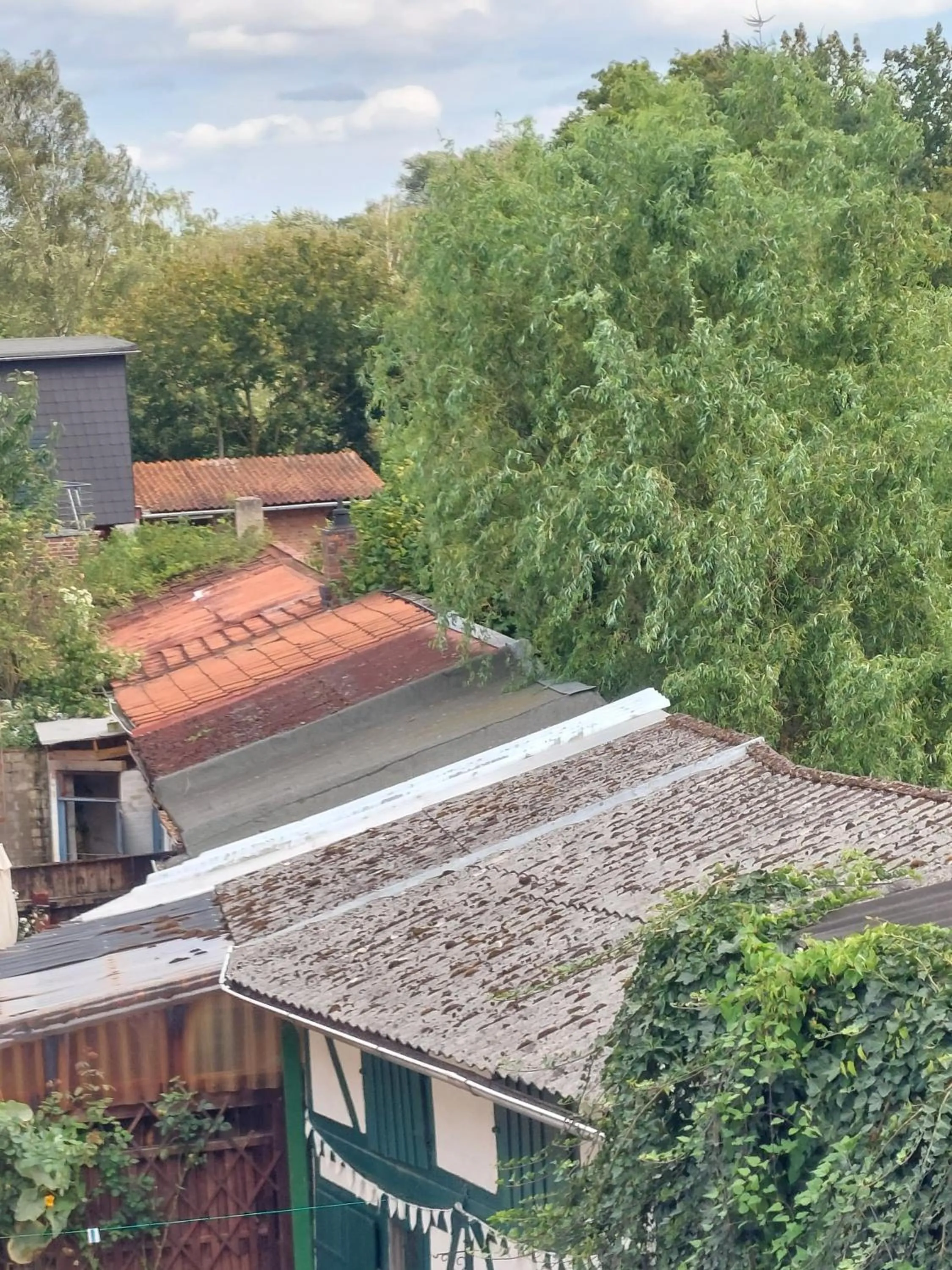 Property building in Hotel Zum Roten Tore