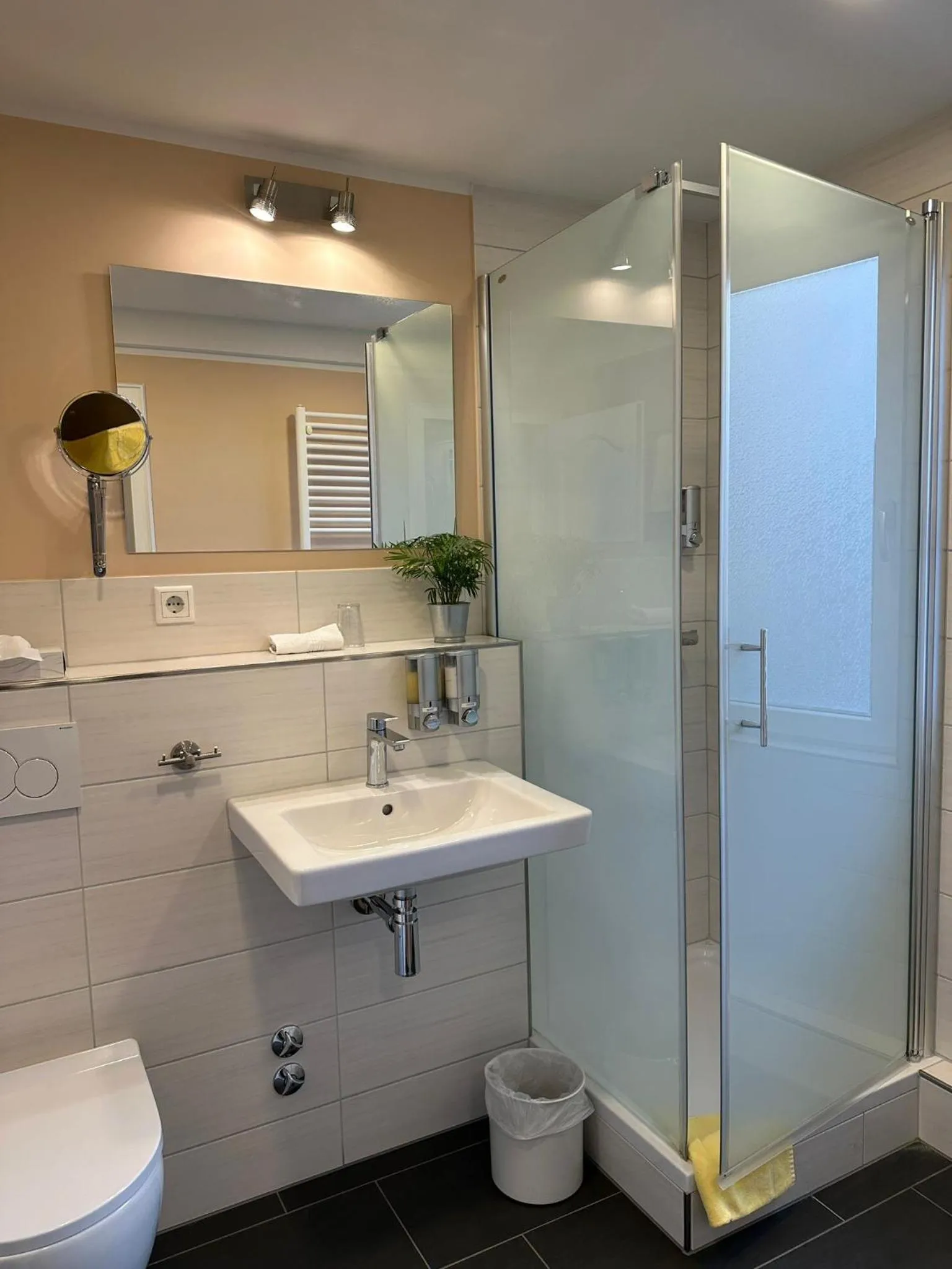 Shower in Hotel Zum Roten Tore