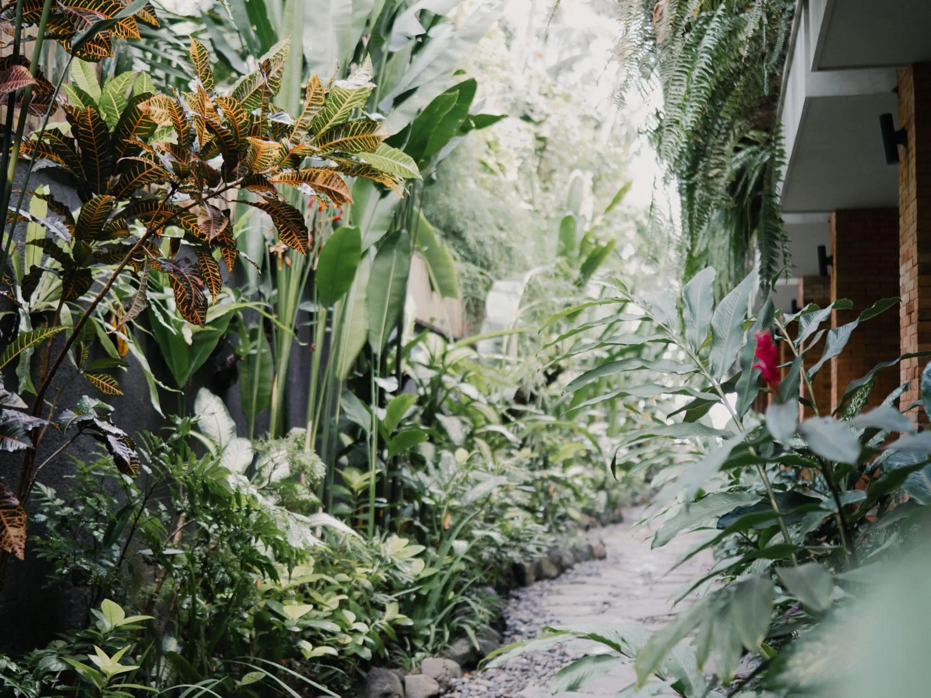 Garden in Sagara Candidasa by AHM