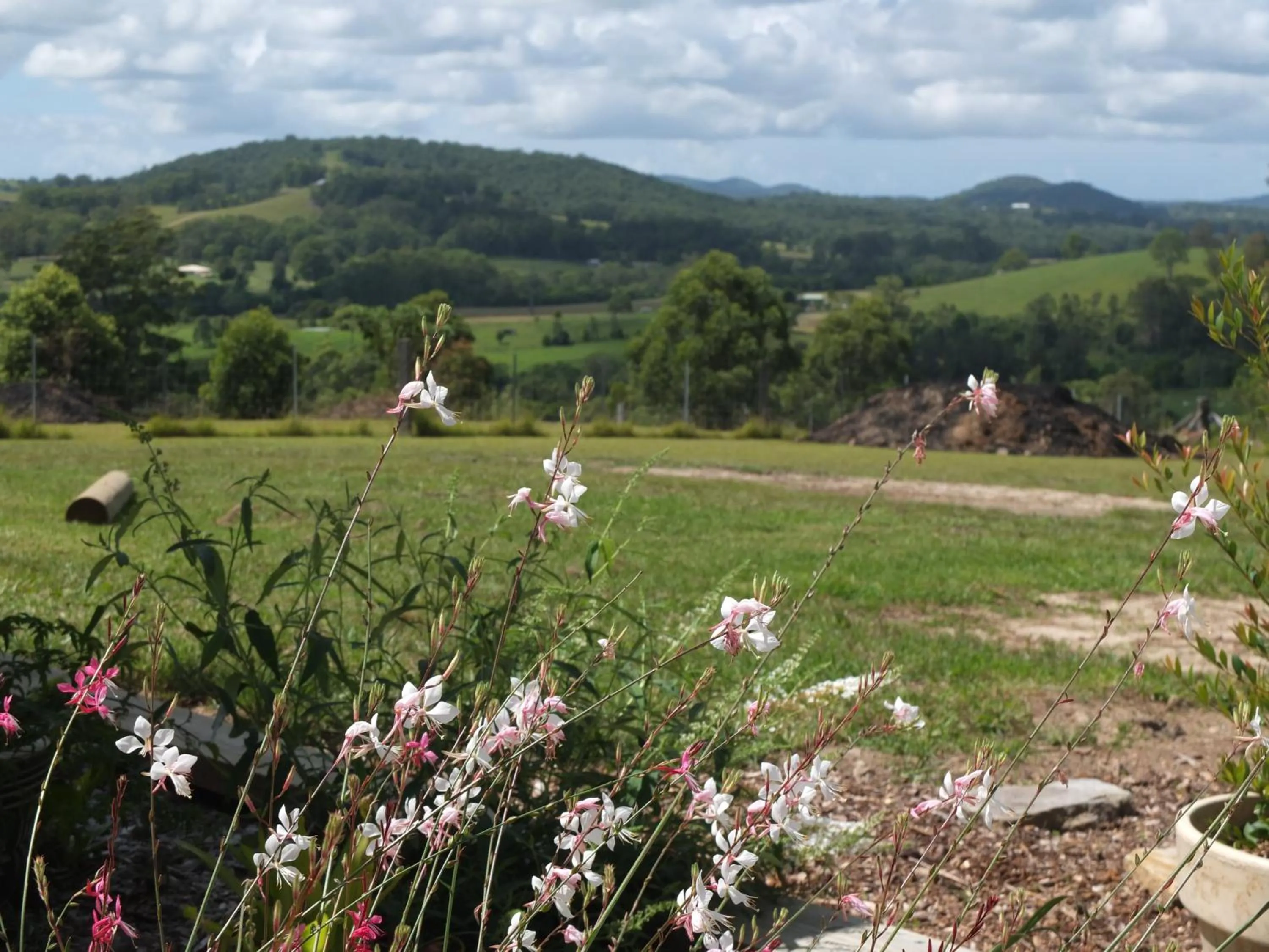 Mountain view in BellbirdHill Bed & Breakfast