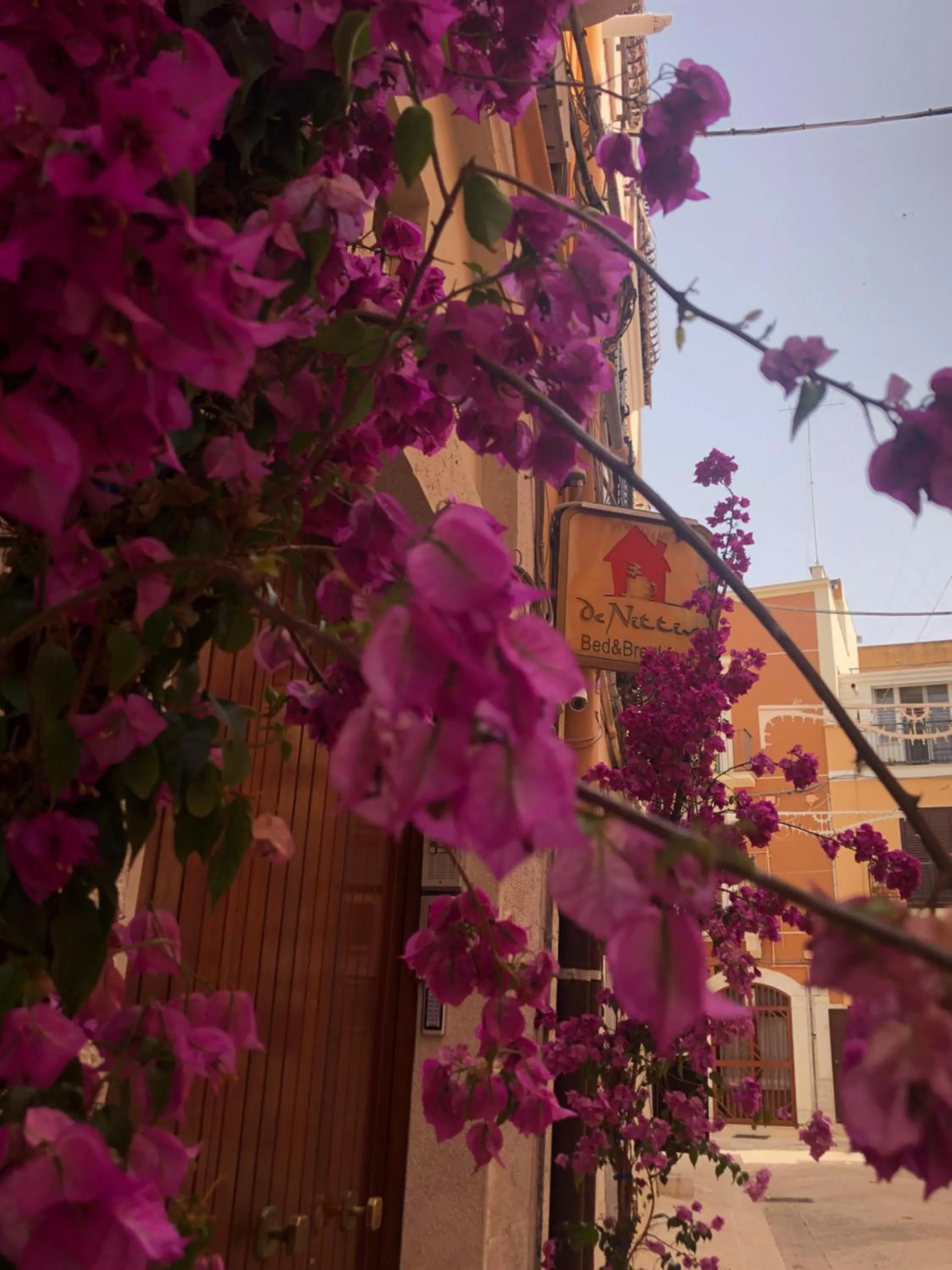 Property building in Bed & Breakfast De Nittis