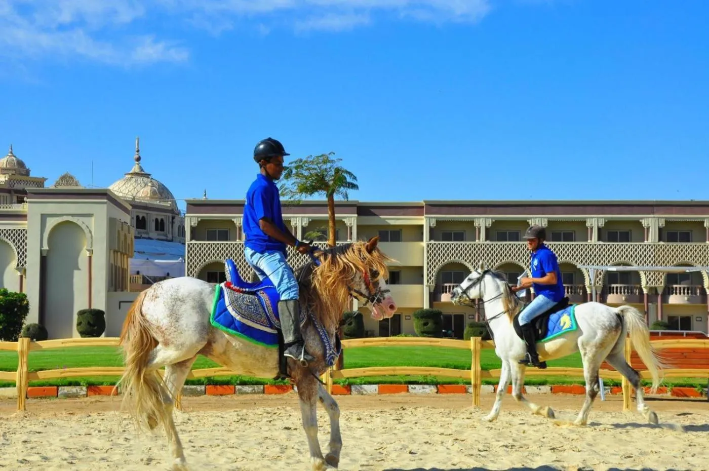 Horse-riding in Sunrise Mamlouk Palace Resort