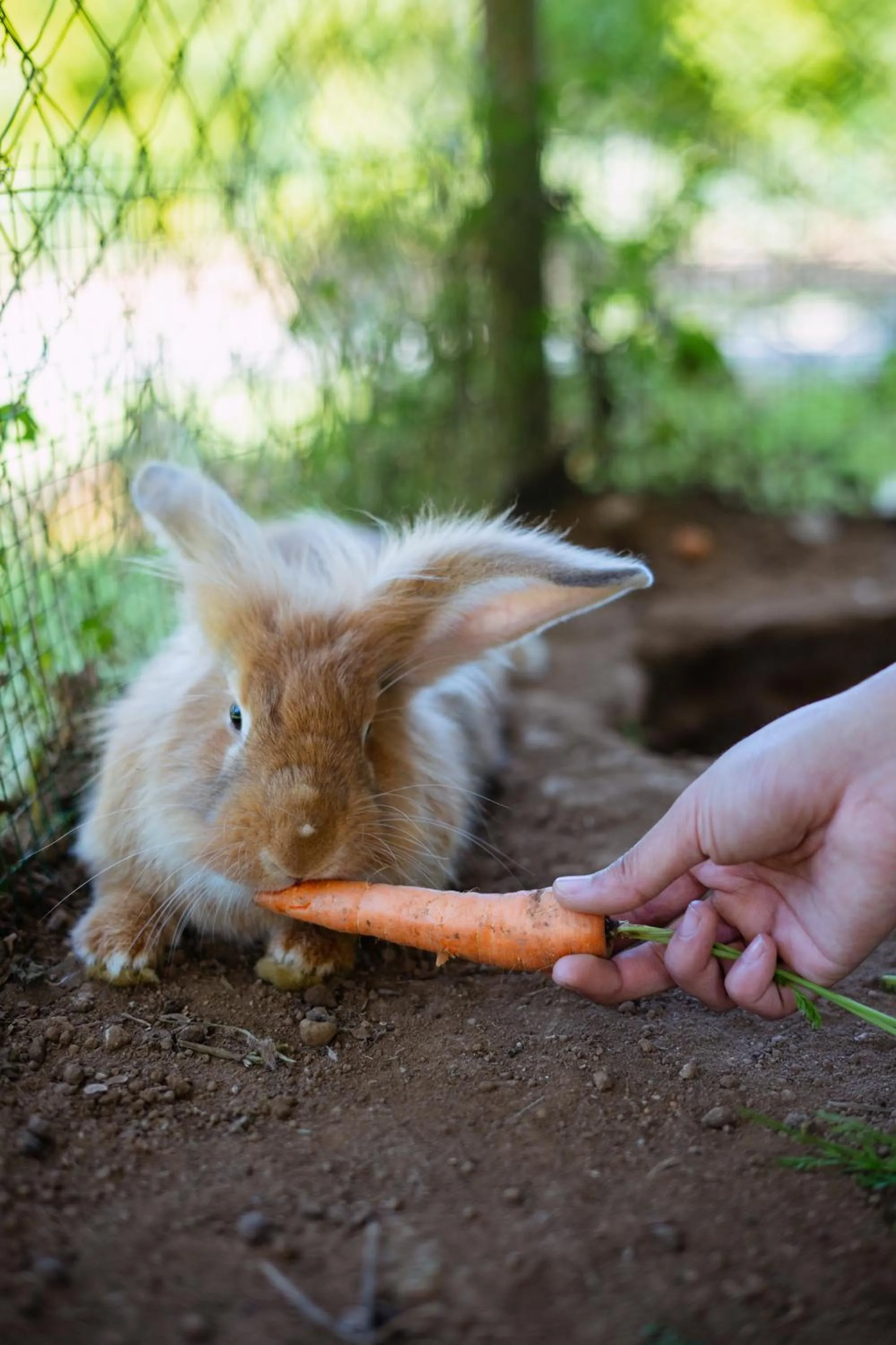 Activities in Handara Golf & Resort Bali