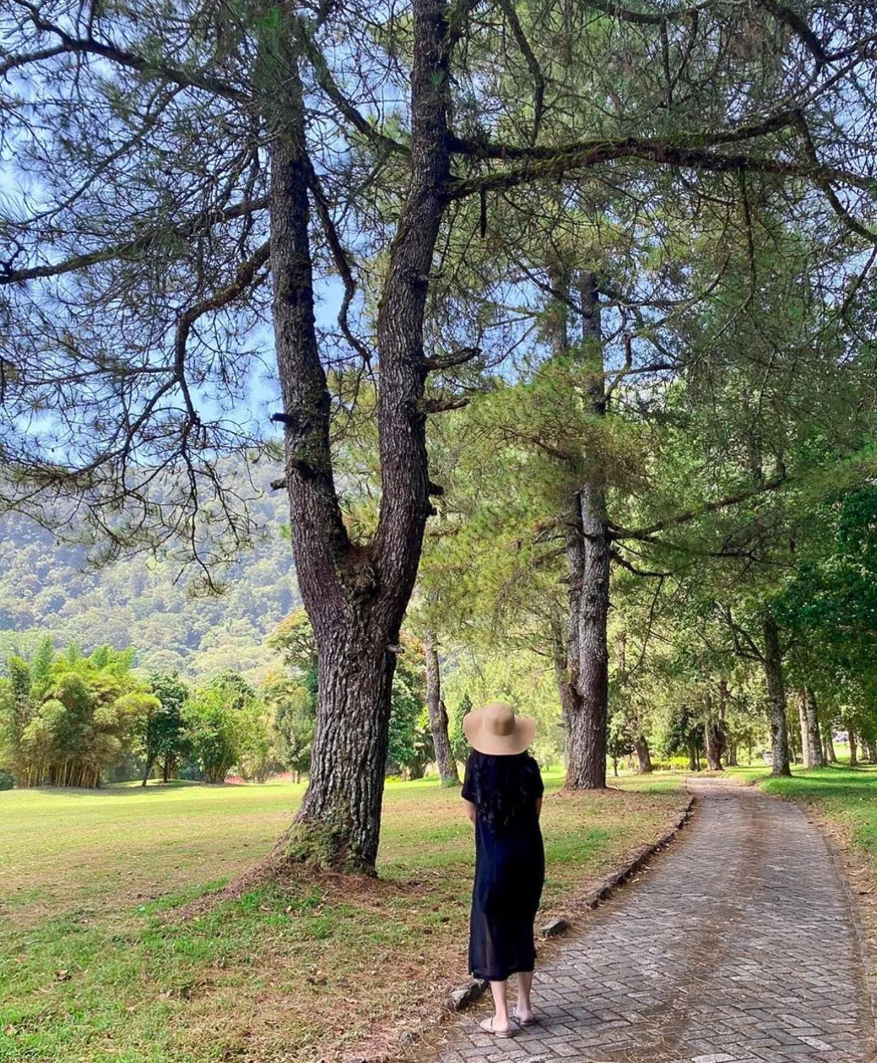 Natural landscape in Handara Golf & Resort Bali