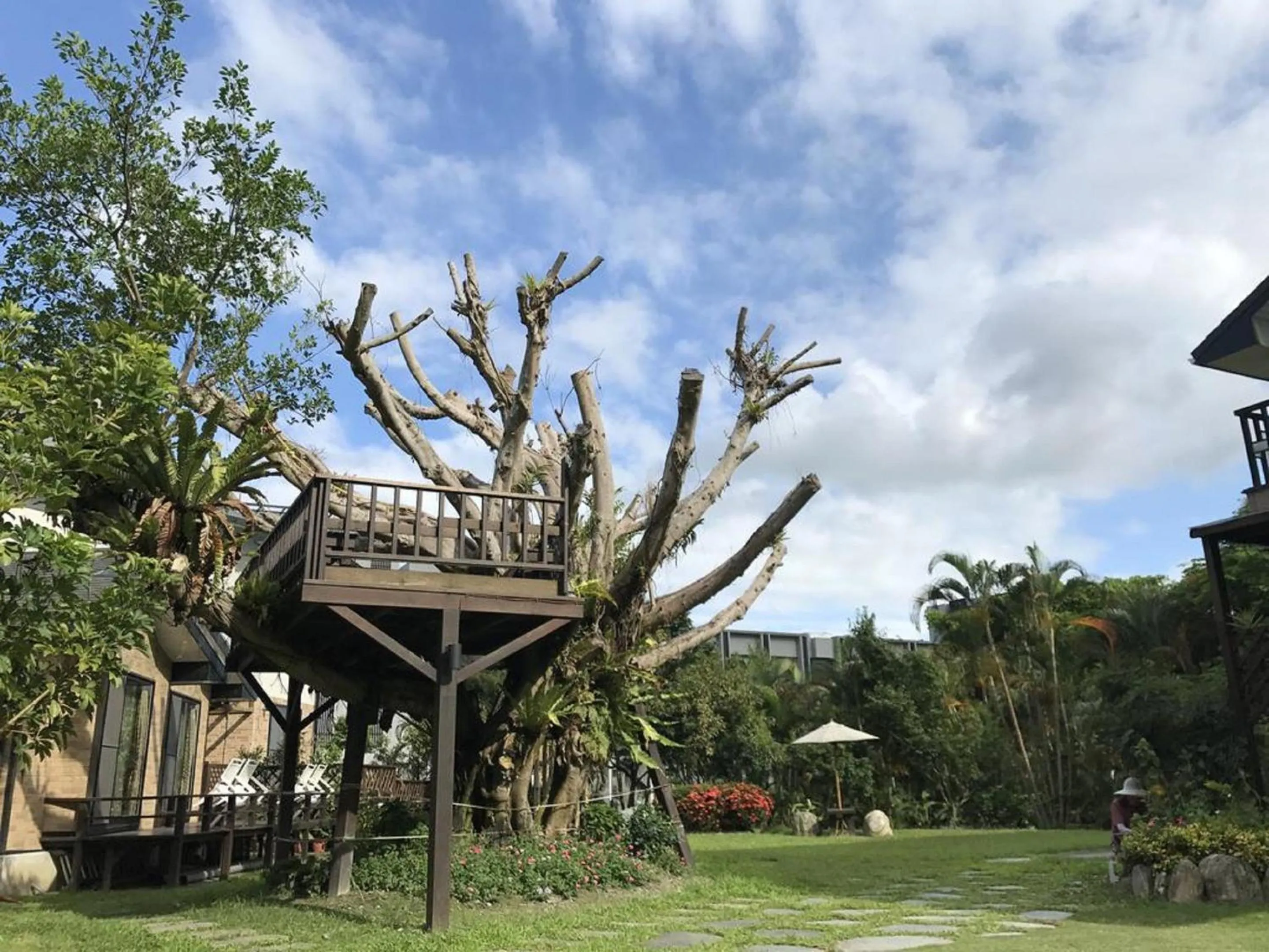 Day in 花蓮金澤居民宿樹窩民宿御安居民宿寵物友善