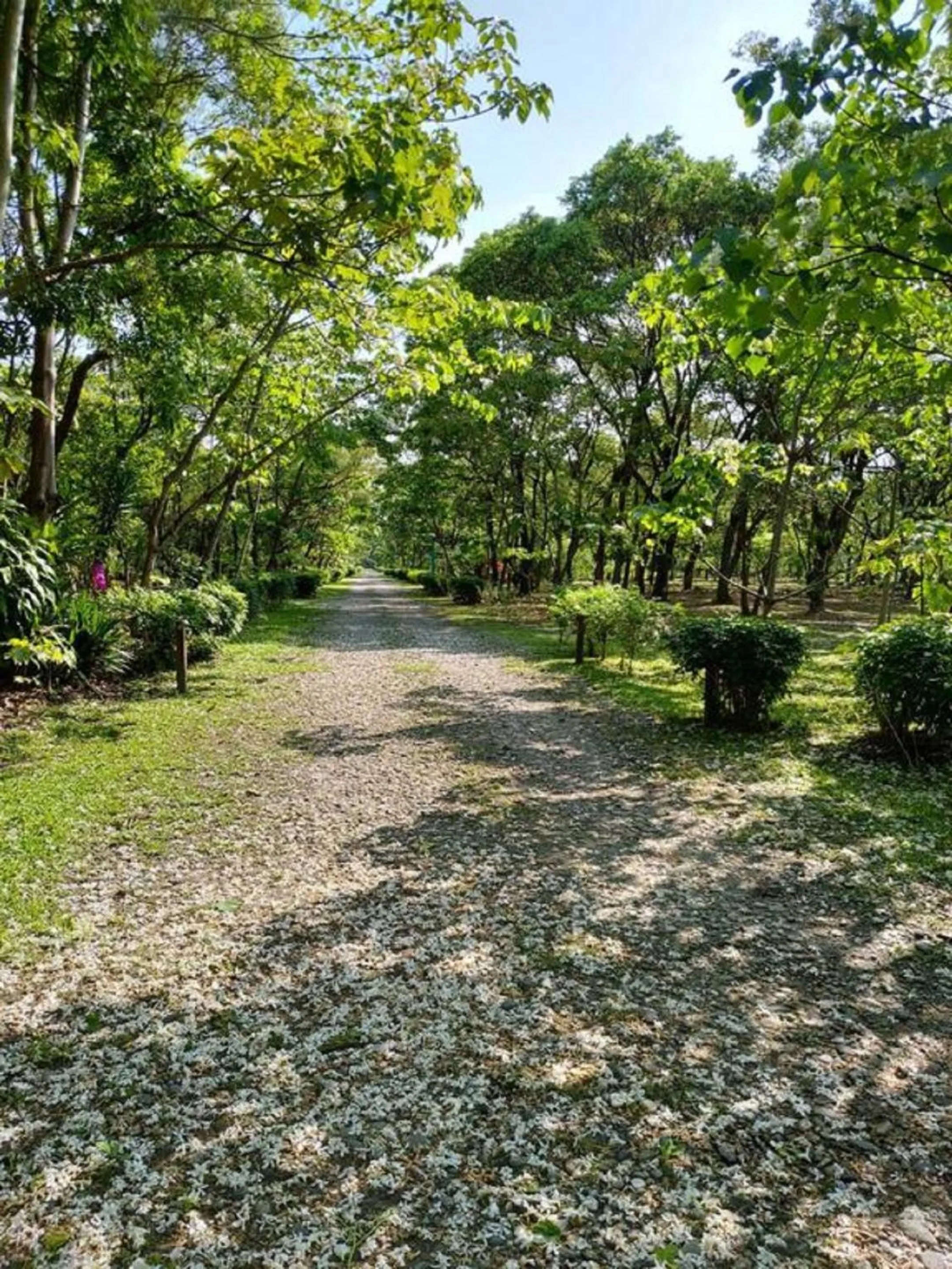 Natural landscape in 花蓮金澤居民宿樹窩民宿御安居民宿寵物友善