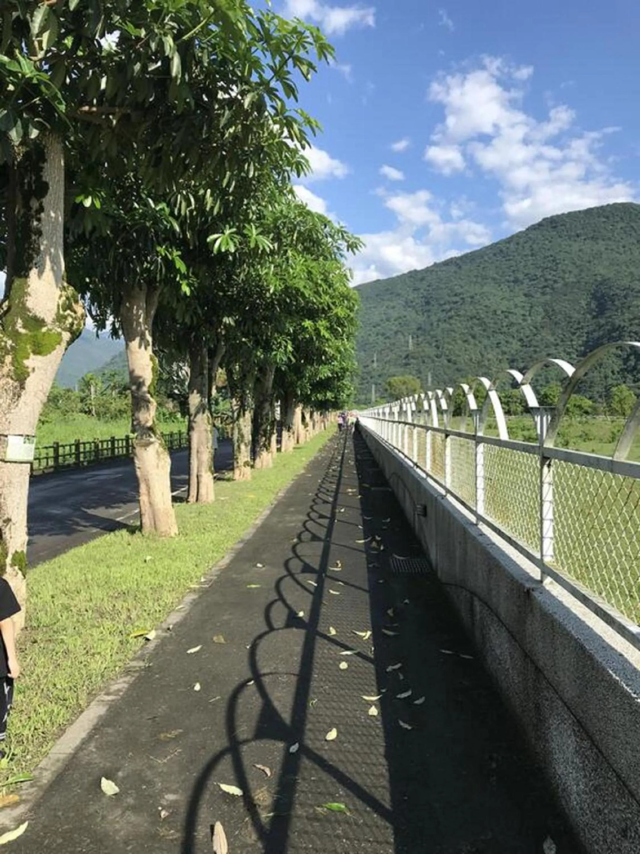 Natural landscape in 花蓮金澤居民宿樹窩民宿御安居民宿寵物友善