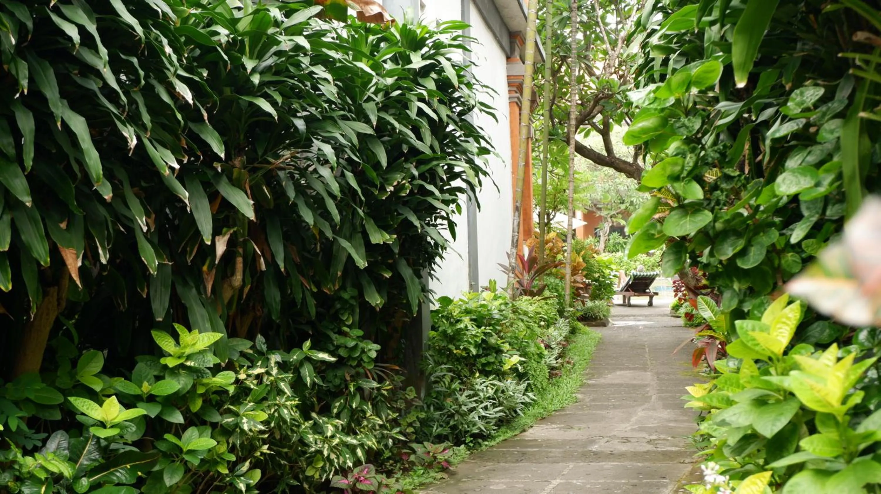 Natural landscape in Swastika Bungalows