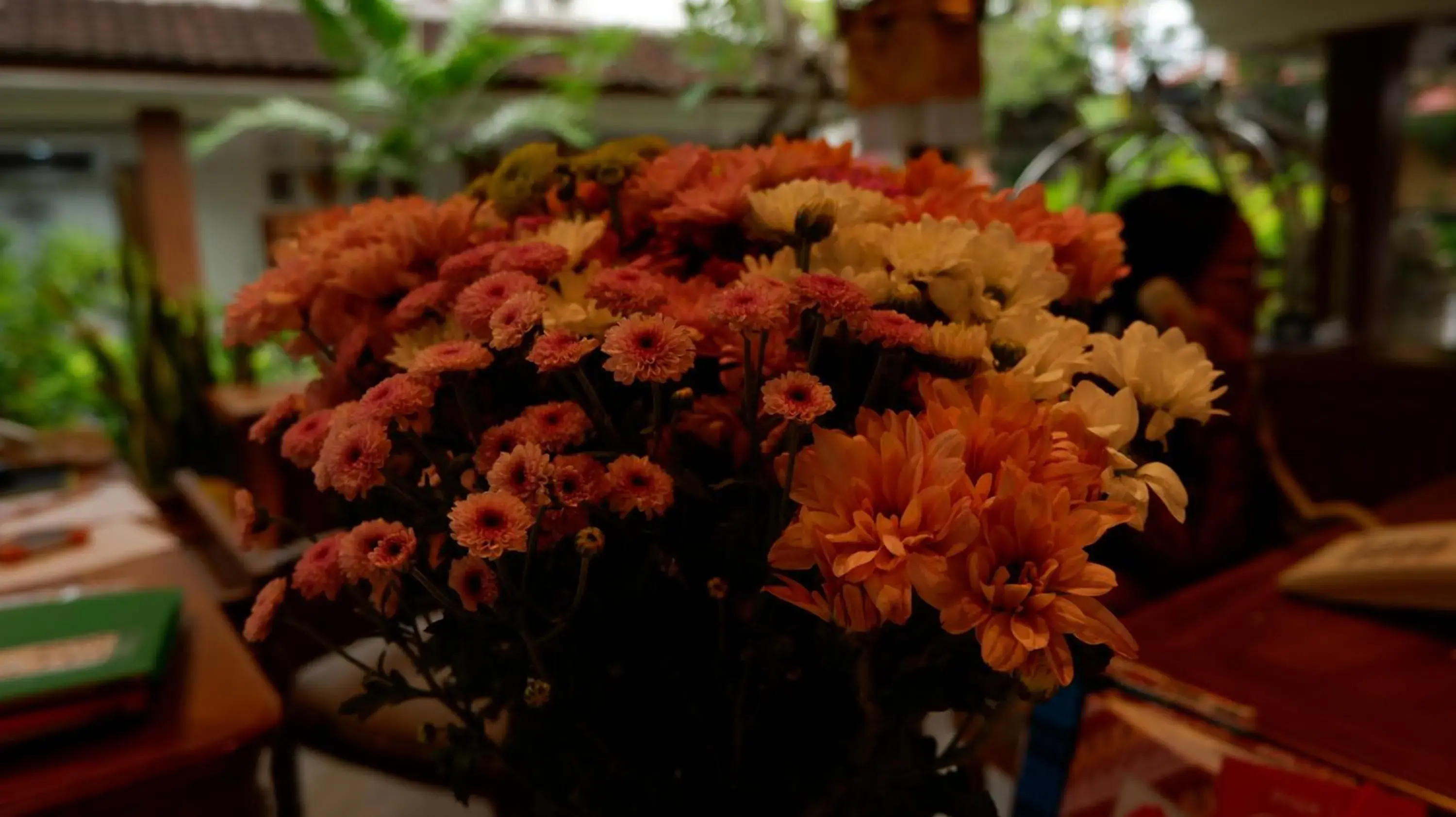 Garden view in Swastika Bungalows Garden view in Swastika Bungalows