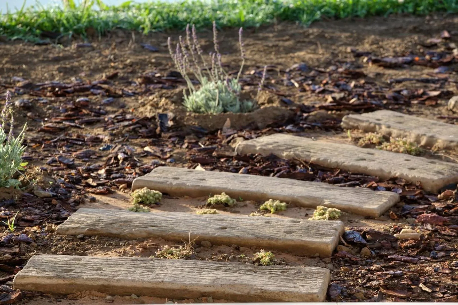 Spa and wellness centre/facilities in De Old Drift Guest Farm