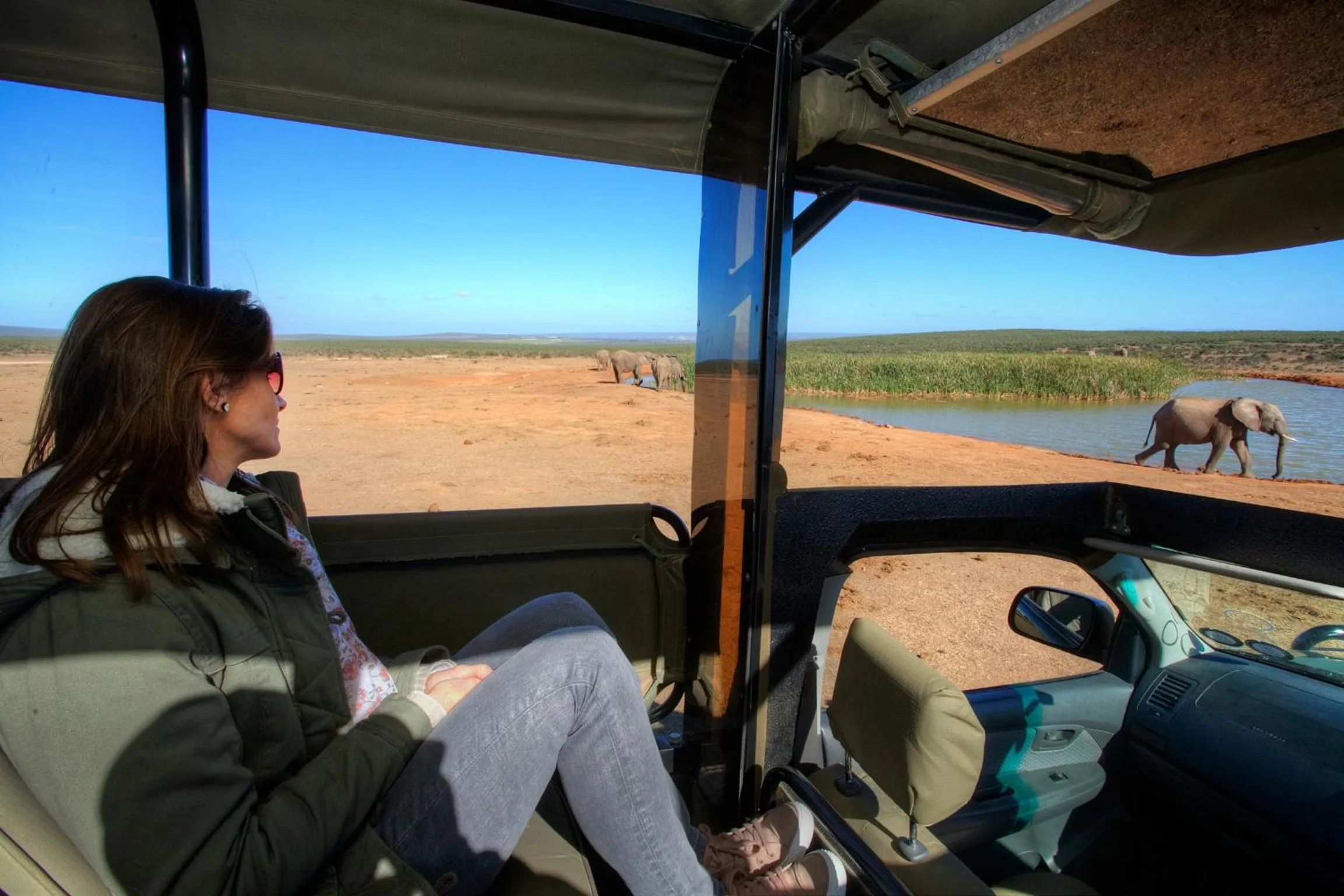 Off site in De Old Drift Guest Farm