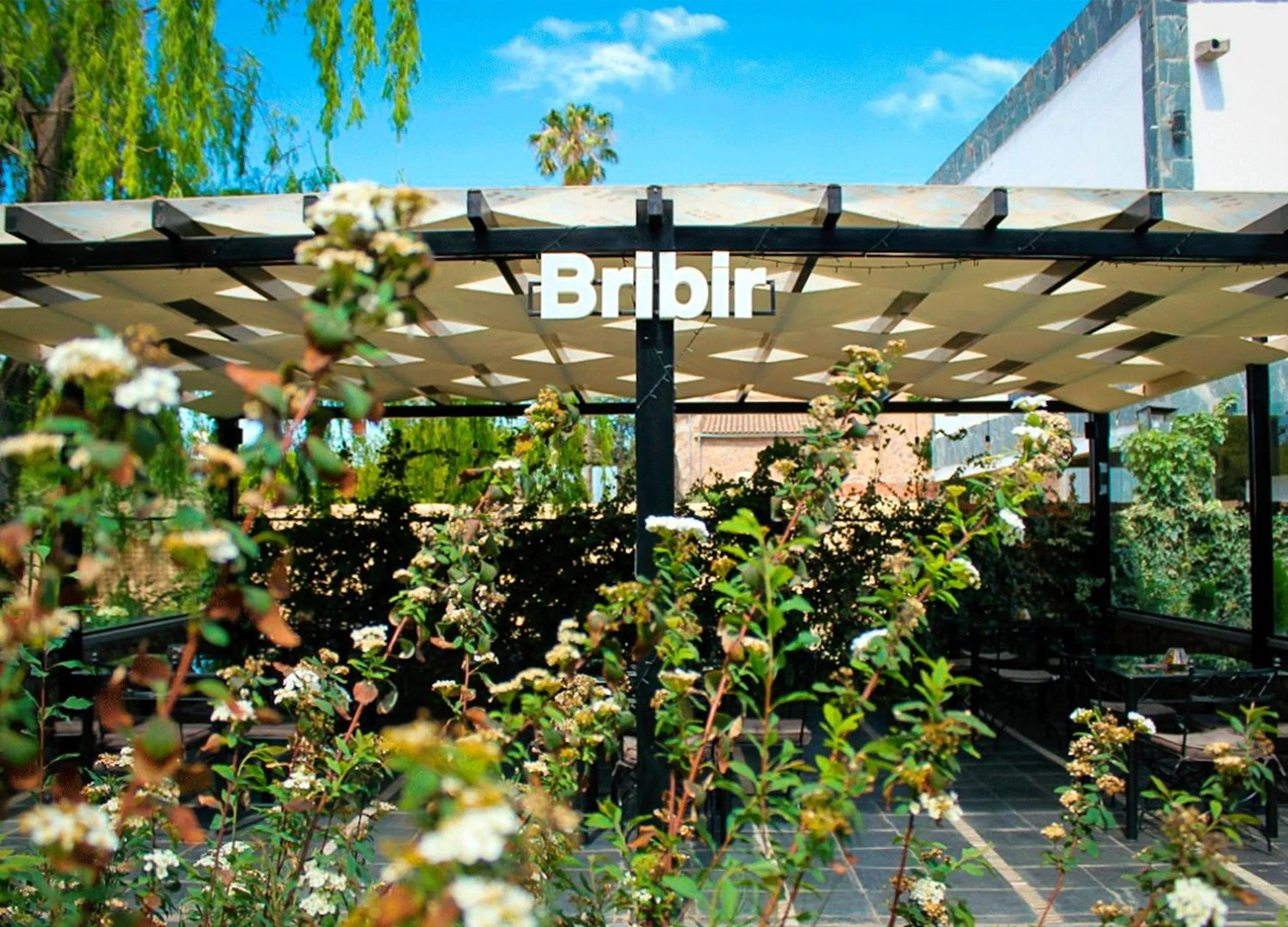 Garden in Hotel Los Sauces