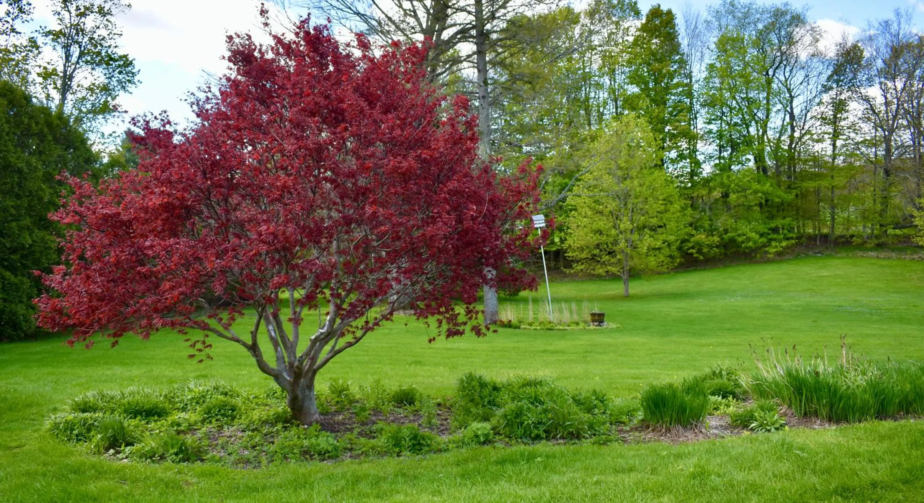 Harbour House Inn B&B