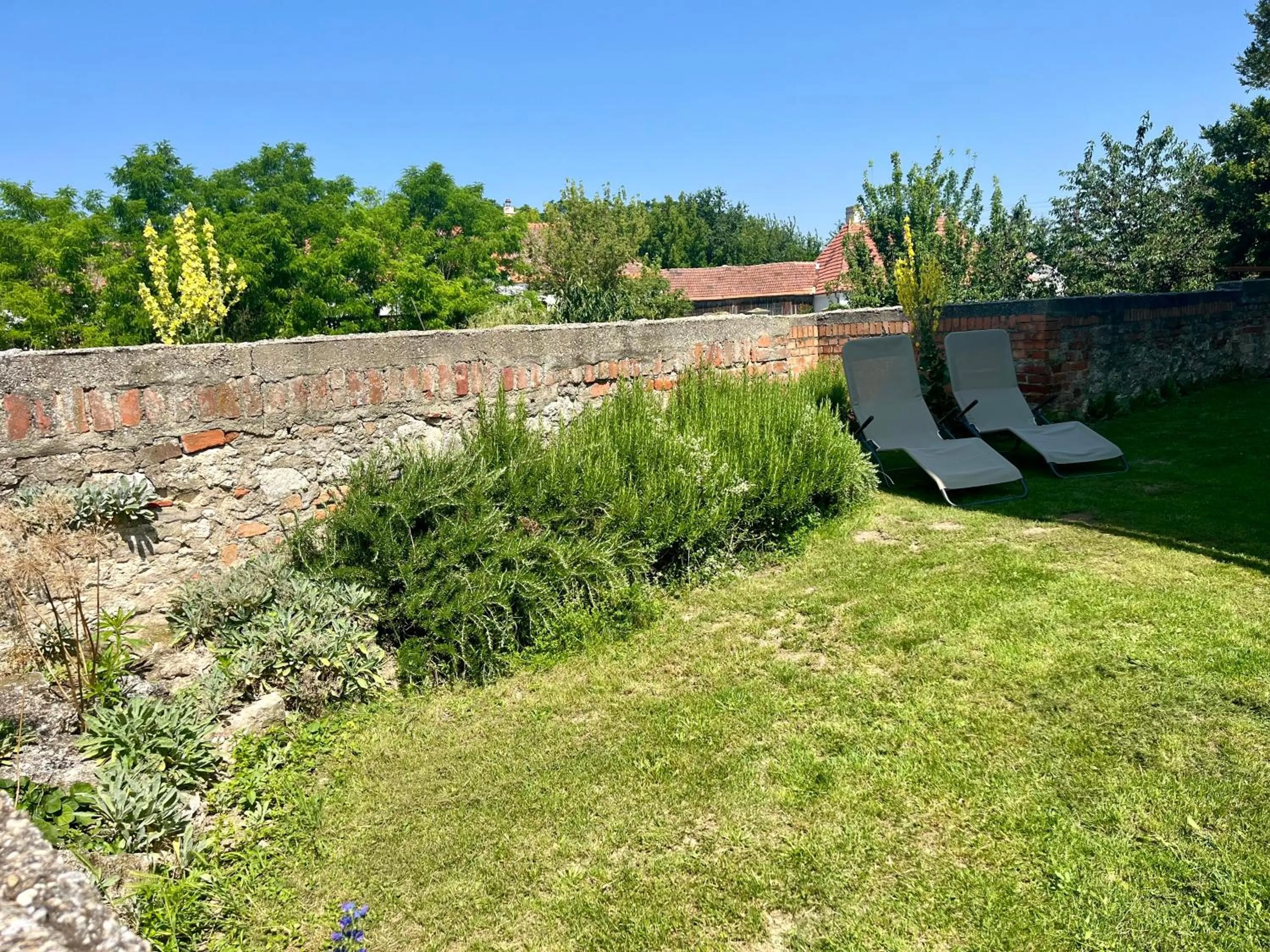 Natural landscape in Schlosshotel Mailberg