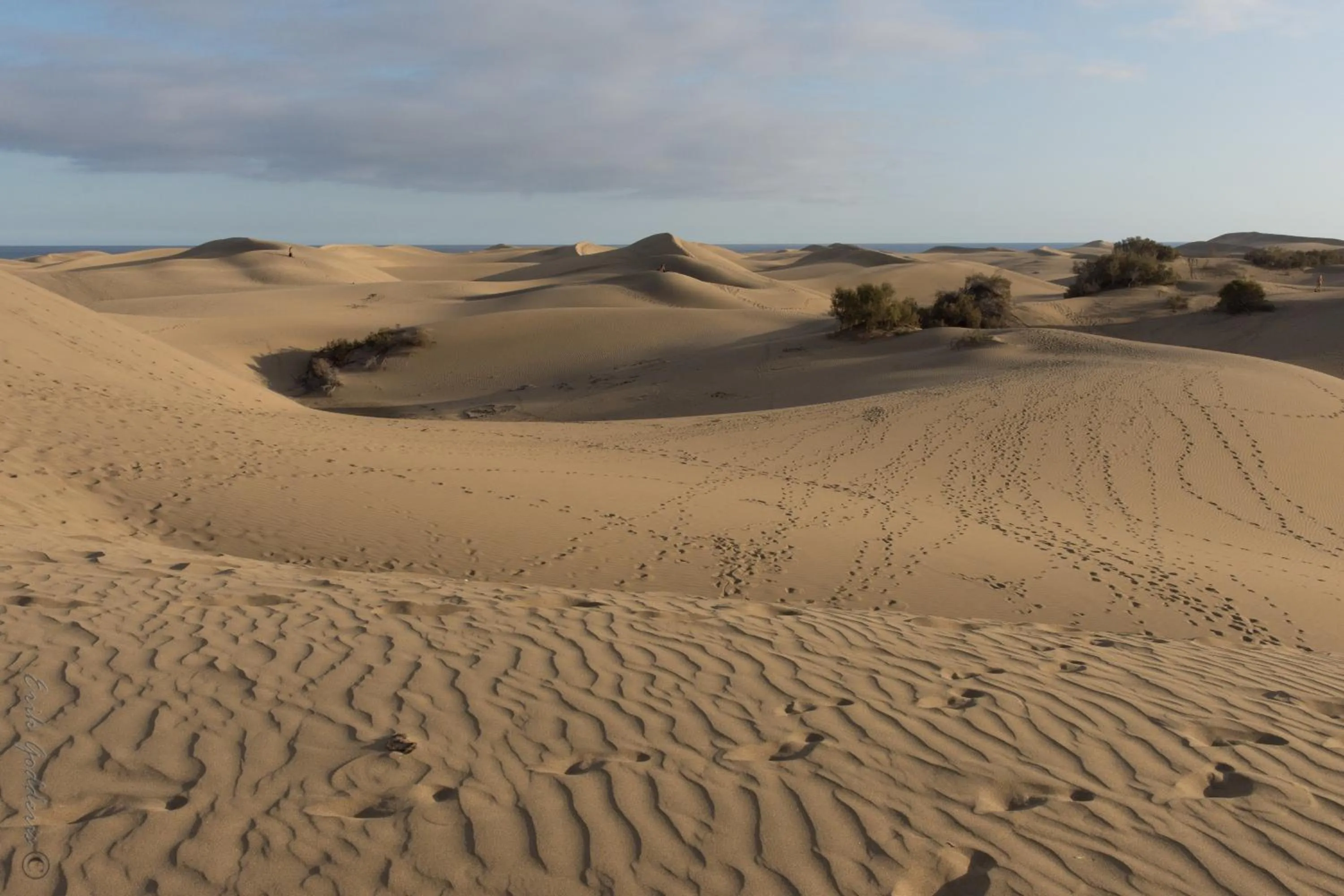 Natural landscape in Hotel Emblemático Arucas