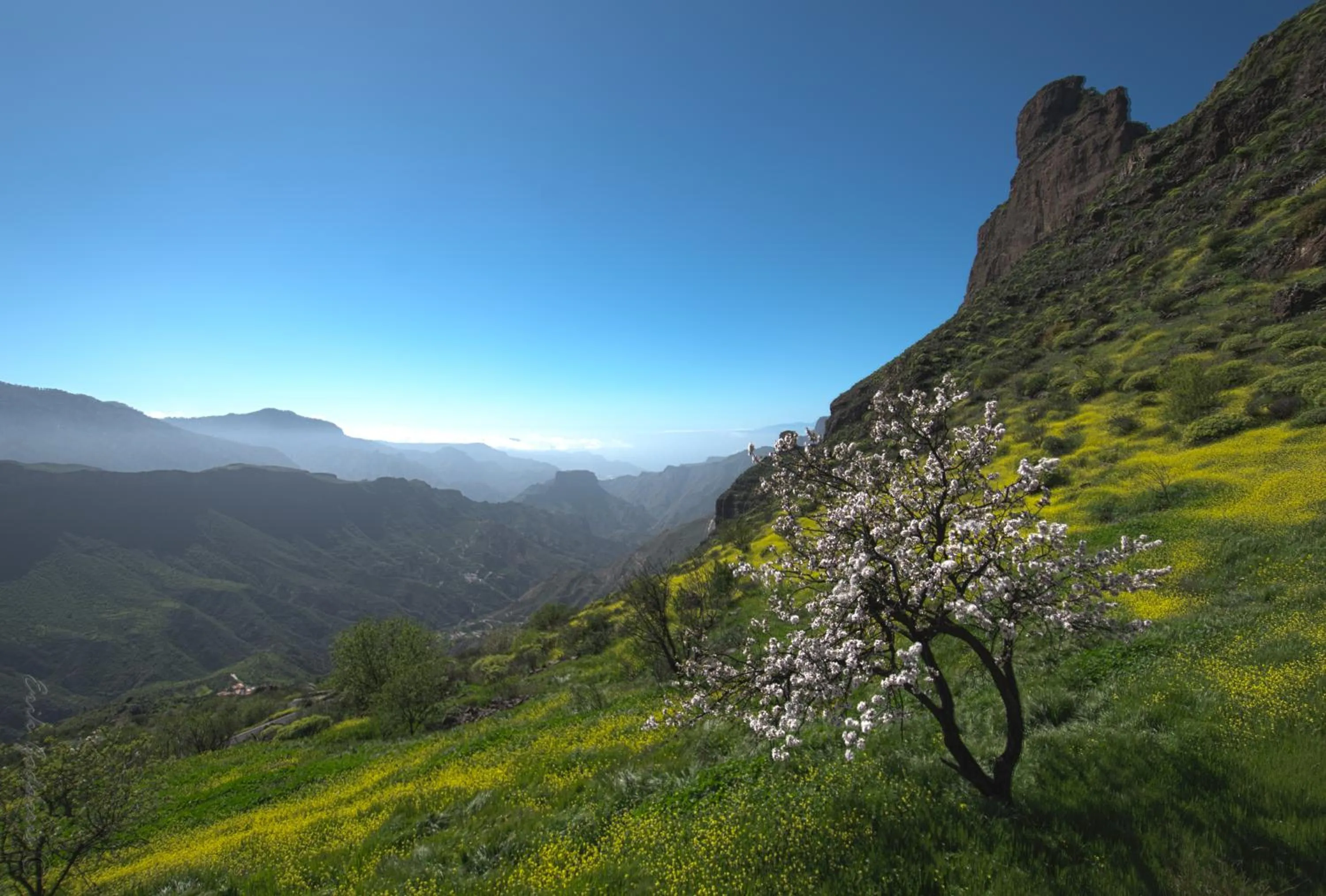 Natural landscape in Hotel Emblemático Arucas